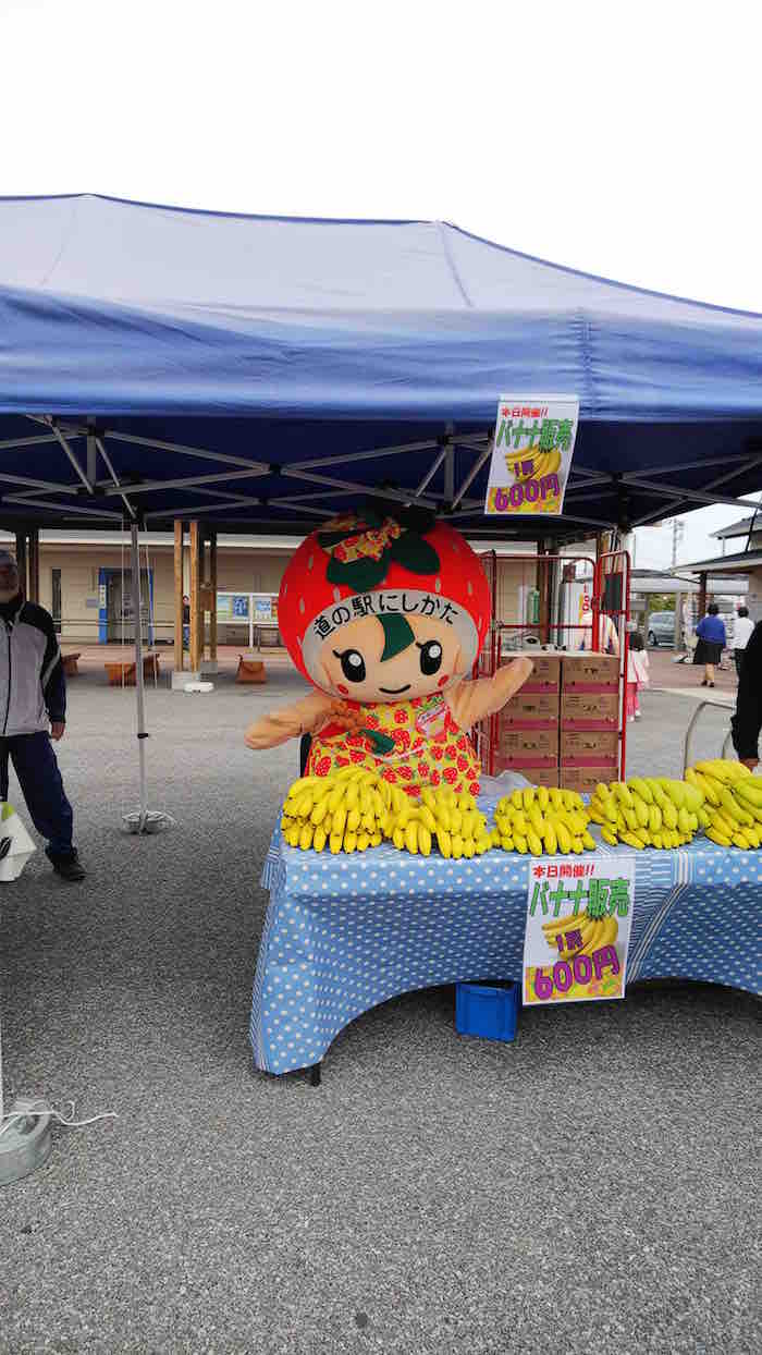 投稿された画像