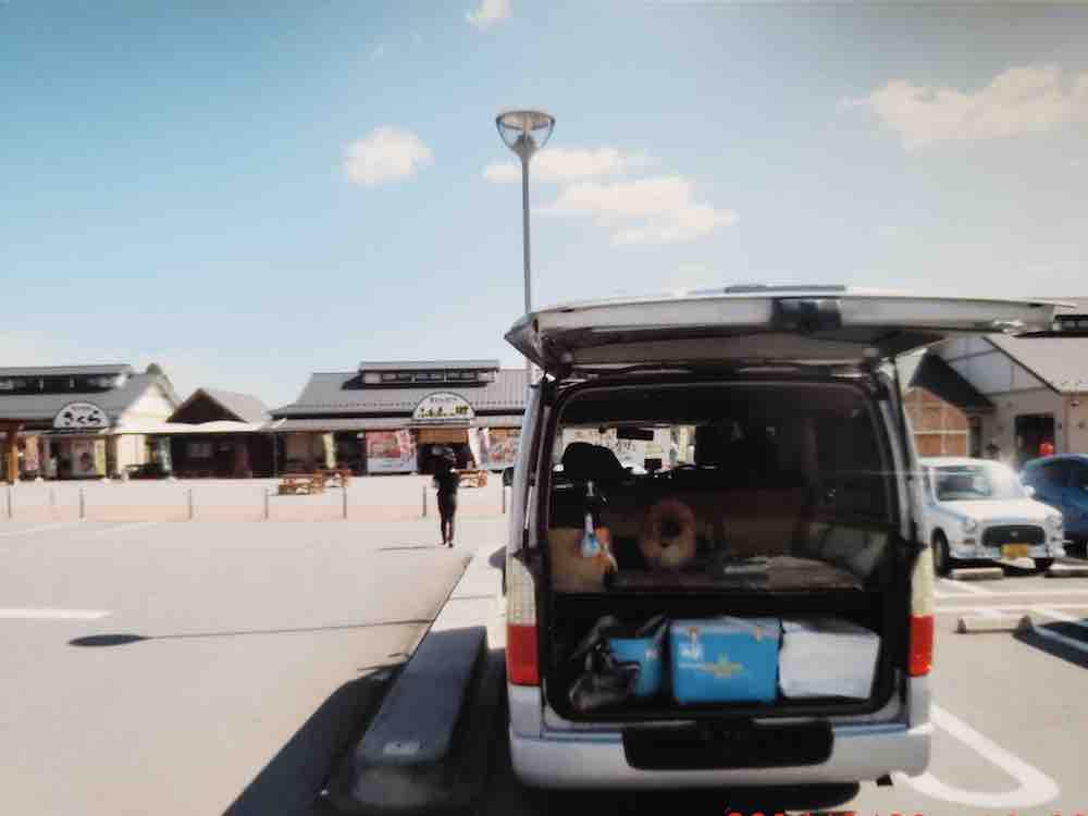 投稿された画像