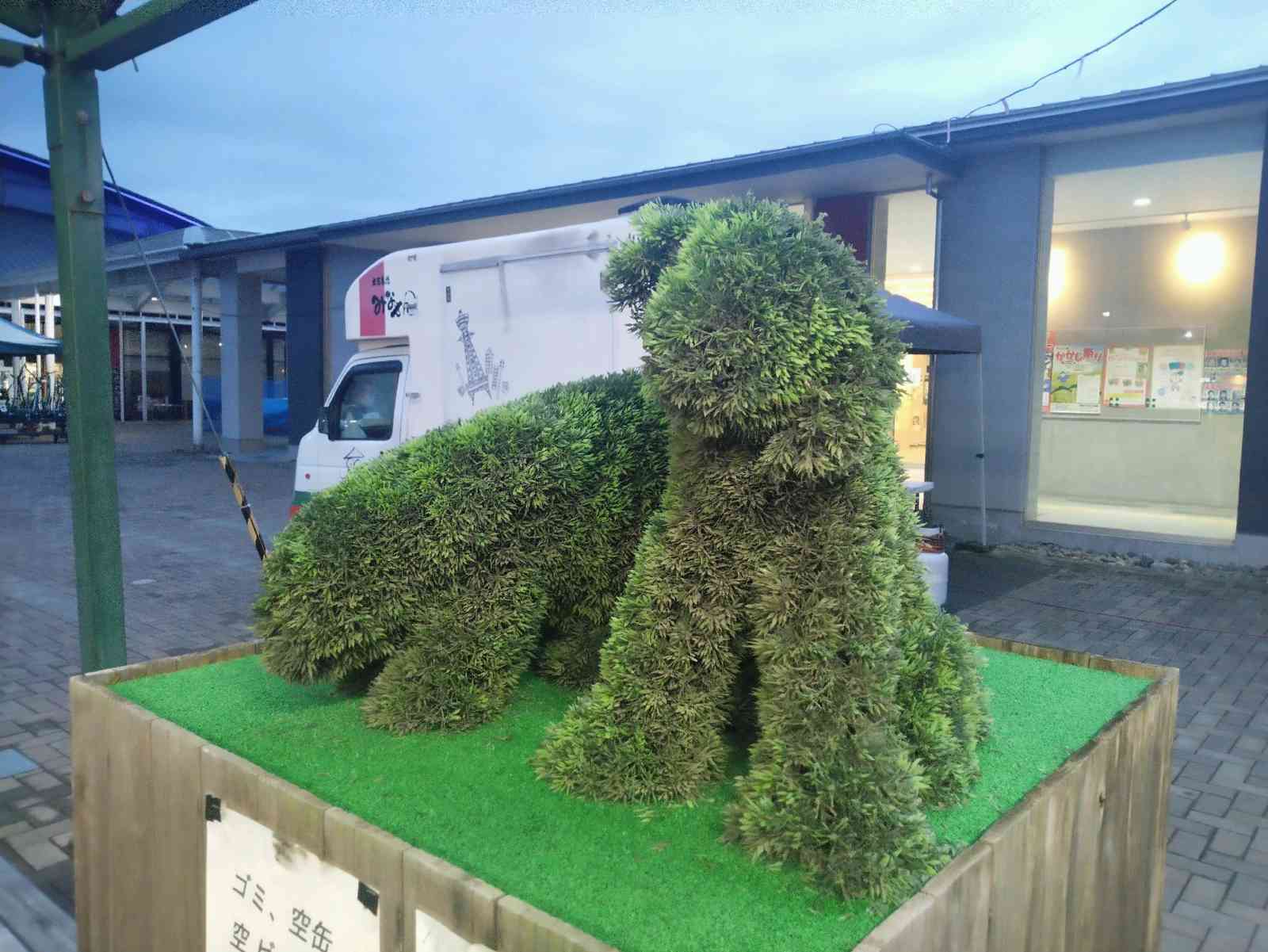 投稿された画像