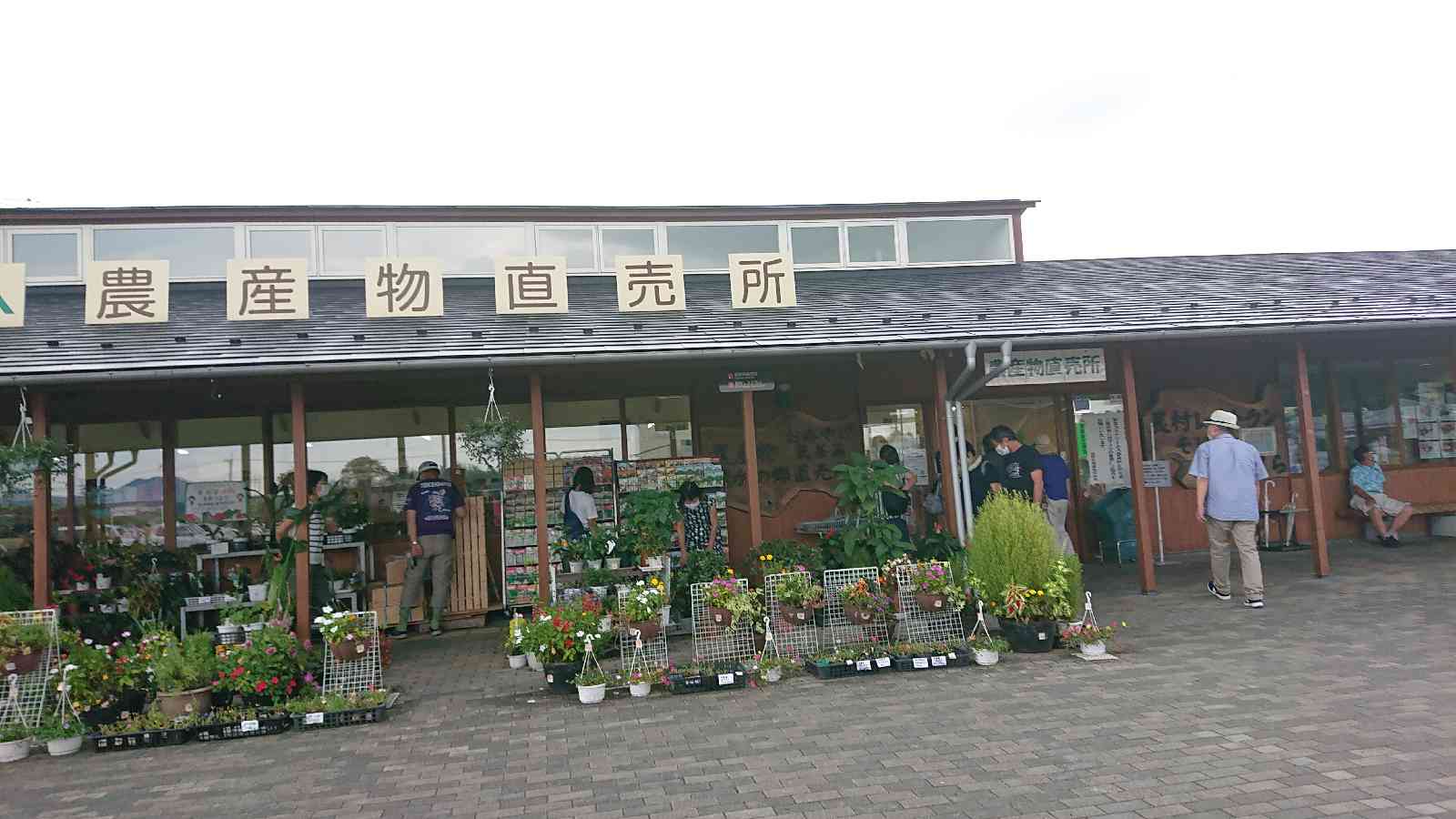 投稿された画像