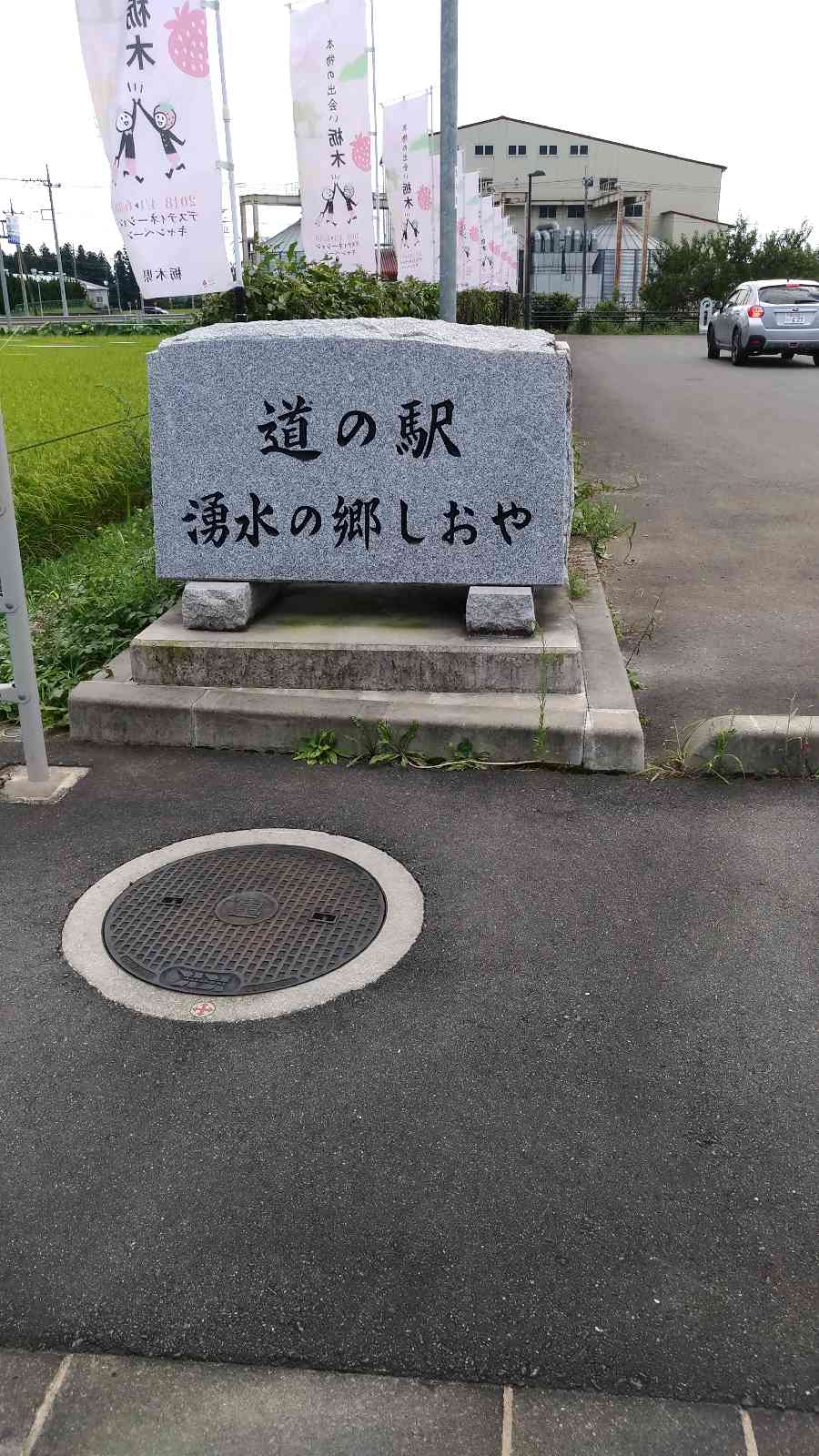 投稿された画像