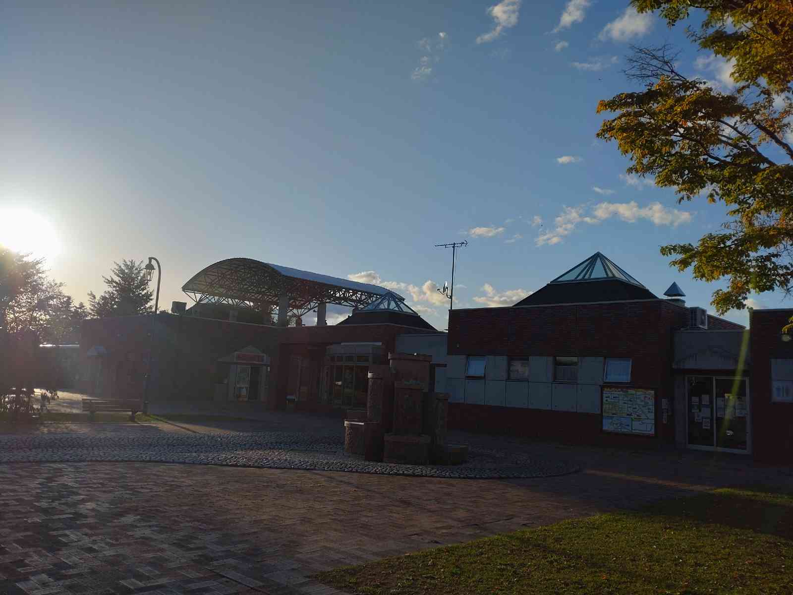 投稿された画像