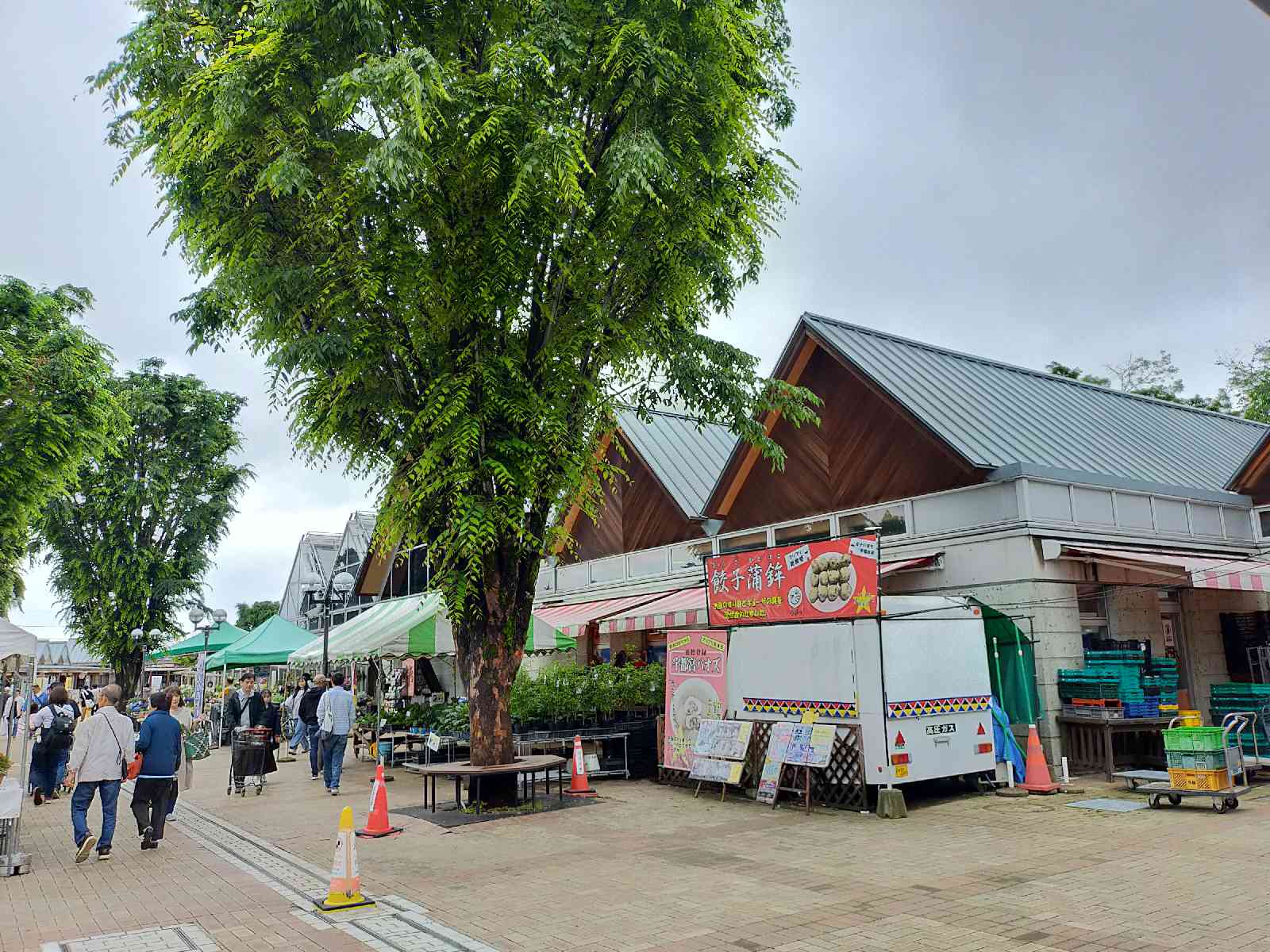 道の駅 うつのみや　ろまんちっく村の写真