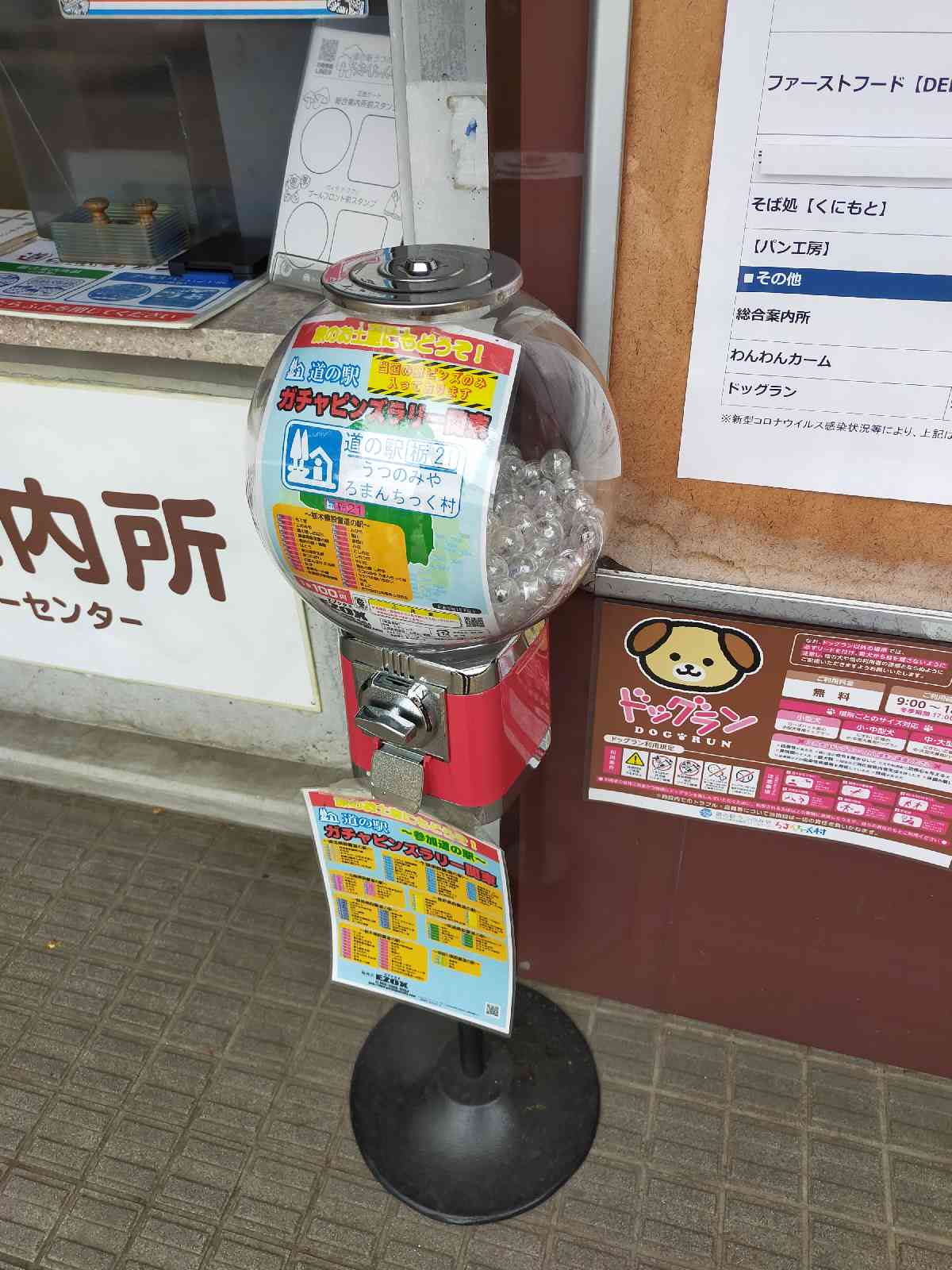 道の駅 うつのみや　ろまんちっく村の写真