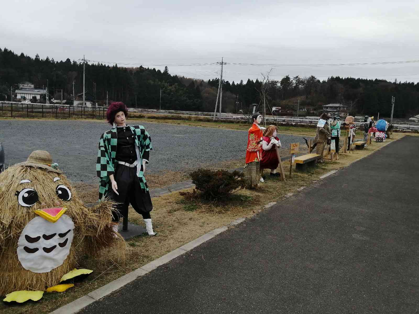 投稿された画像
