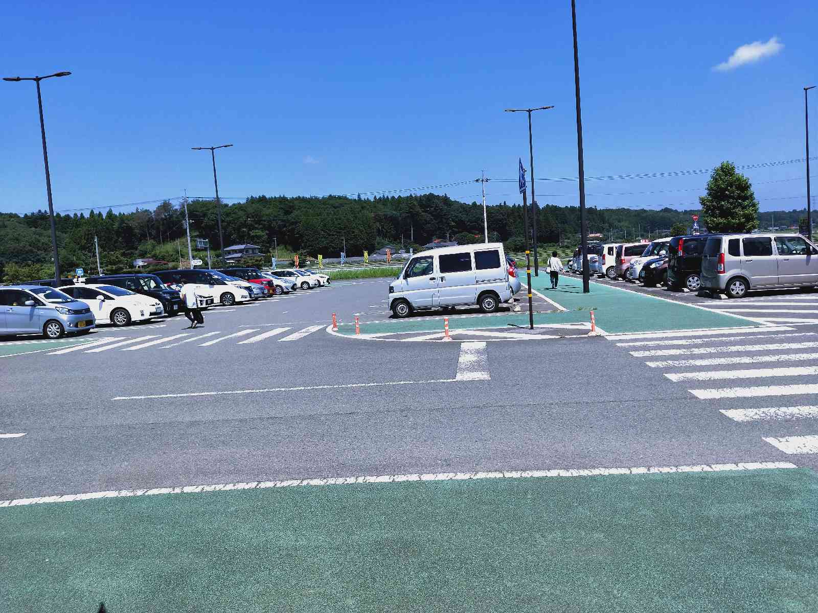 投稿された画像