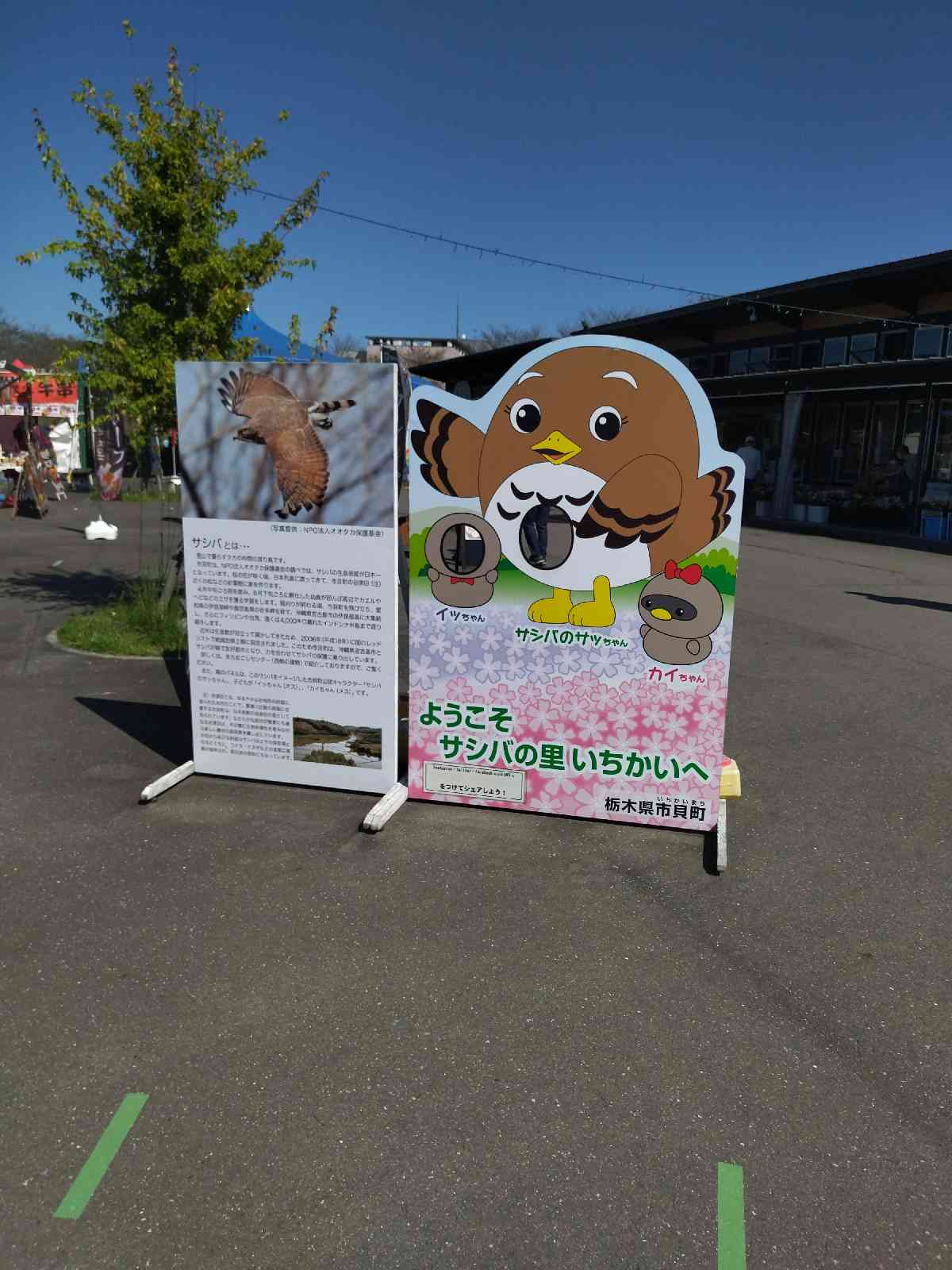投稿された画像