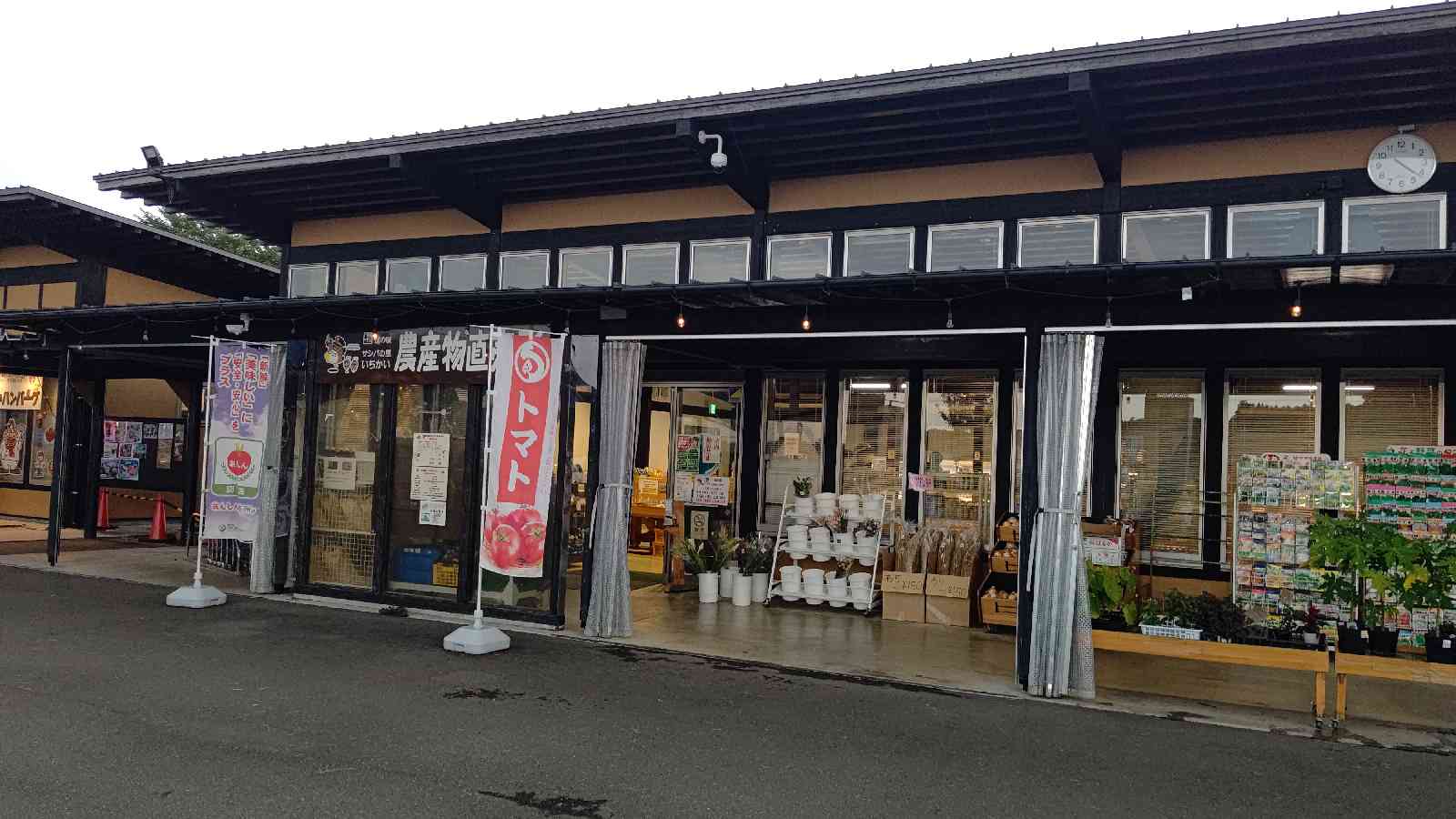 投稿された画像