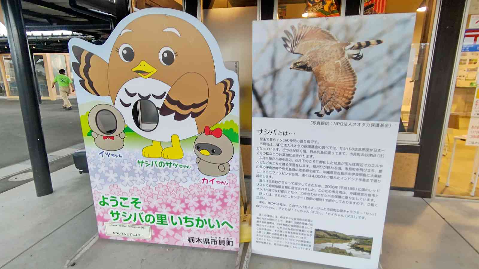 投稿された画像