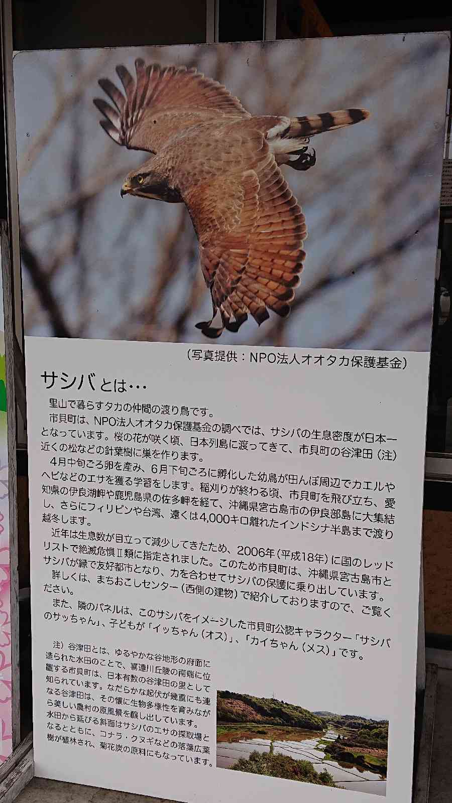 道の駅 サシバの里いちかいの写真