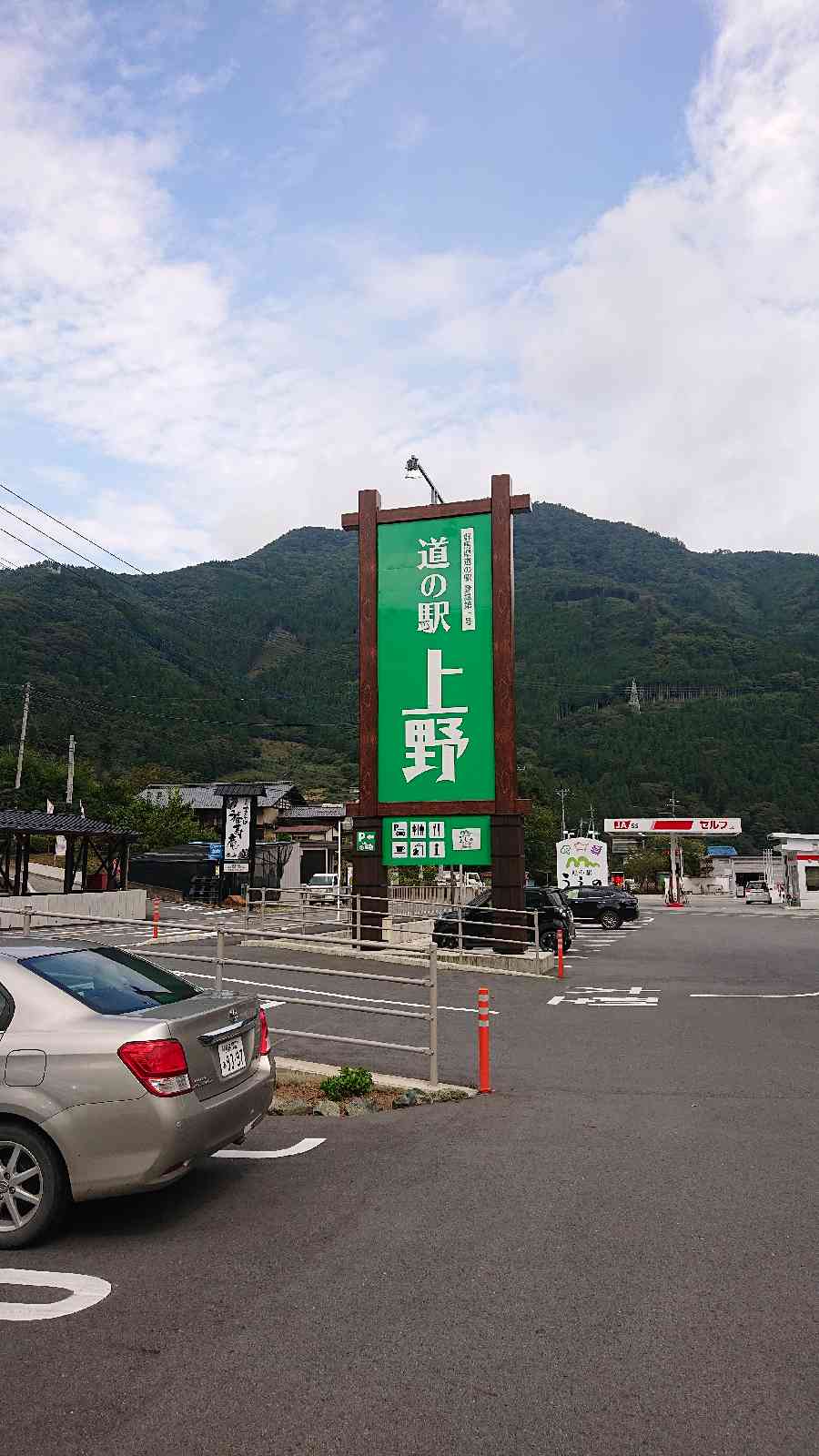 投稿された画像
