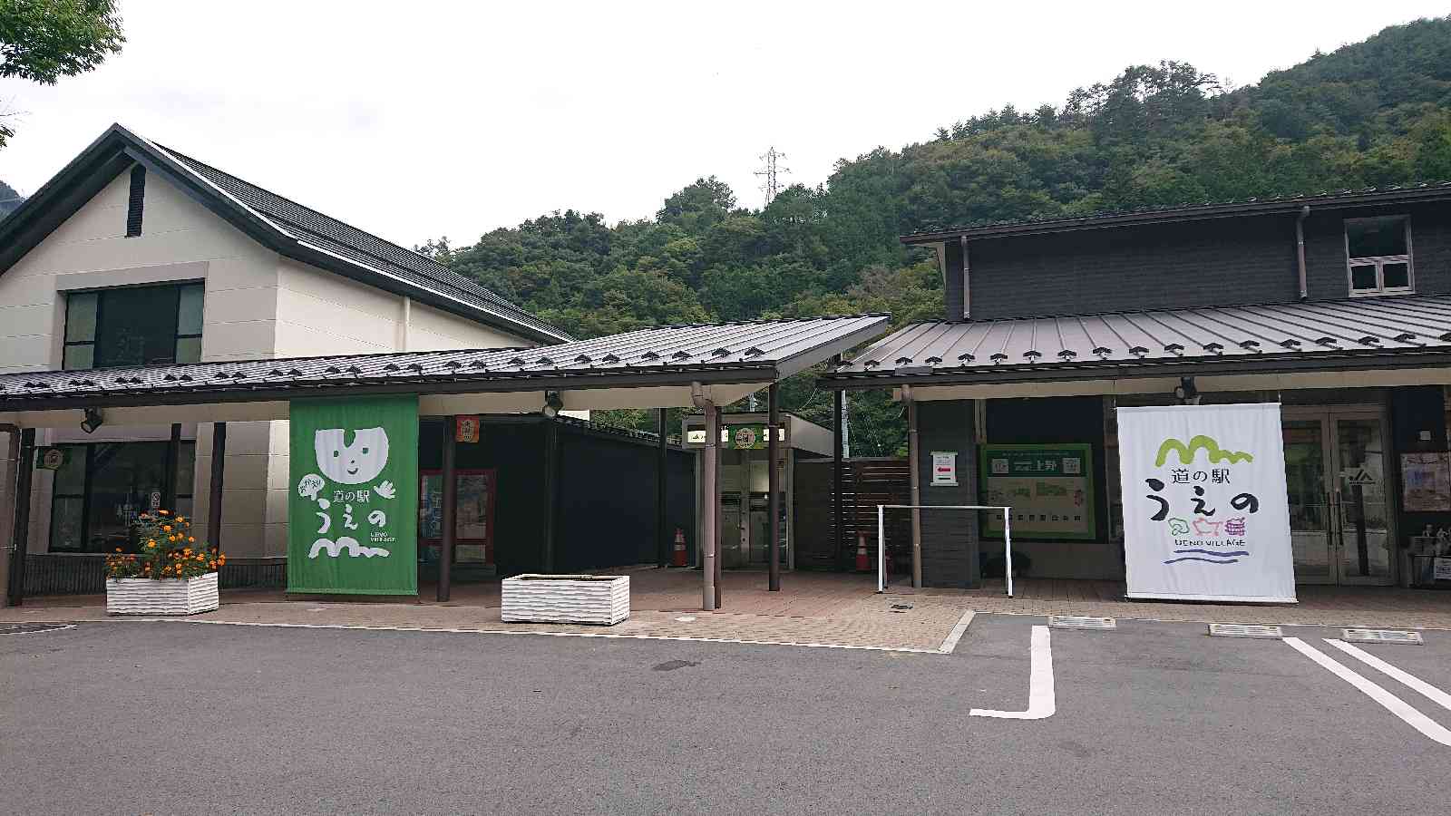 投稿された画像