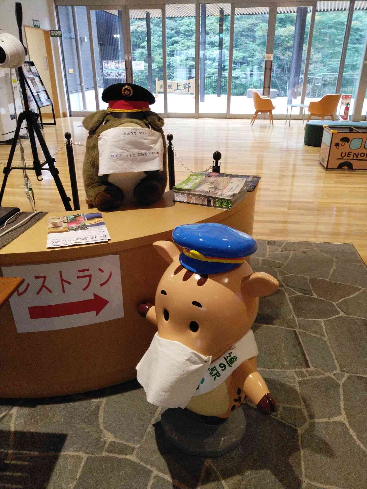 投稿された画像