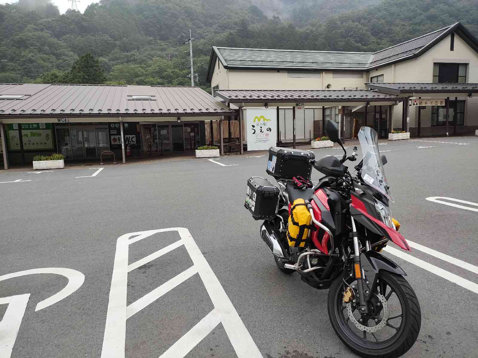 投稿された画像