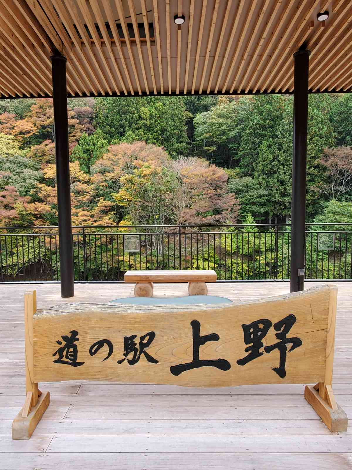 道の駅 上野の写真