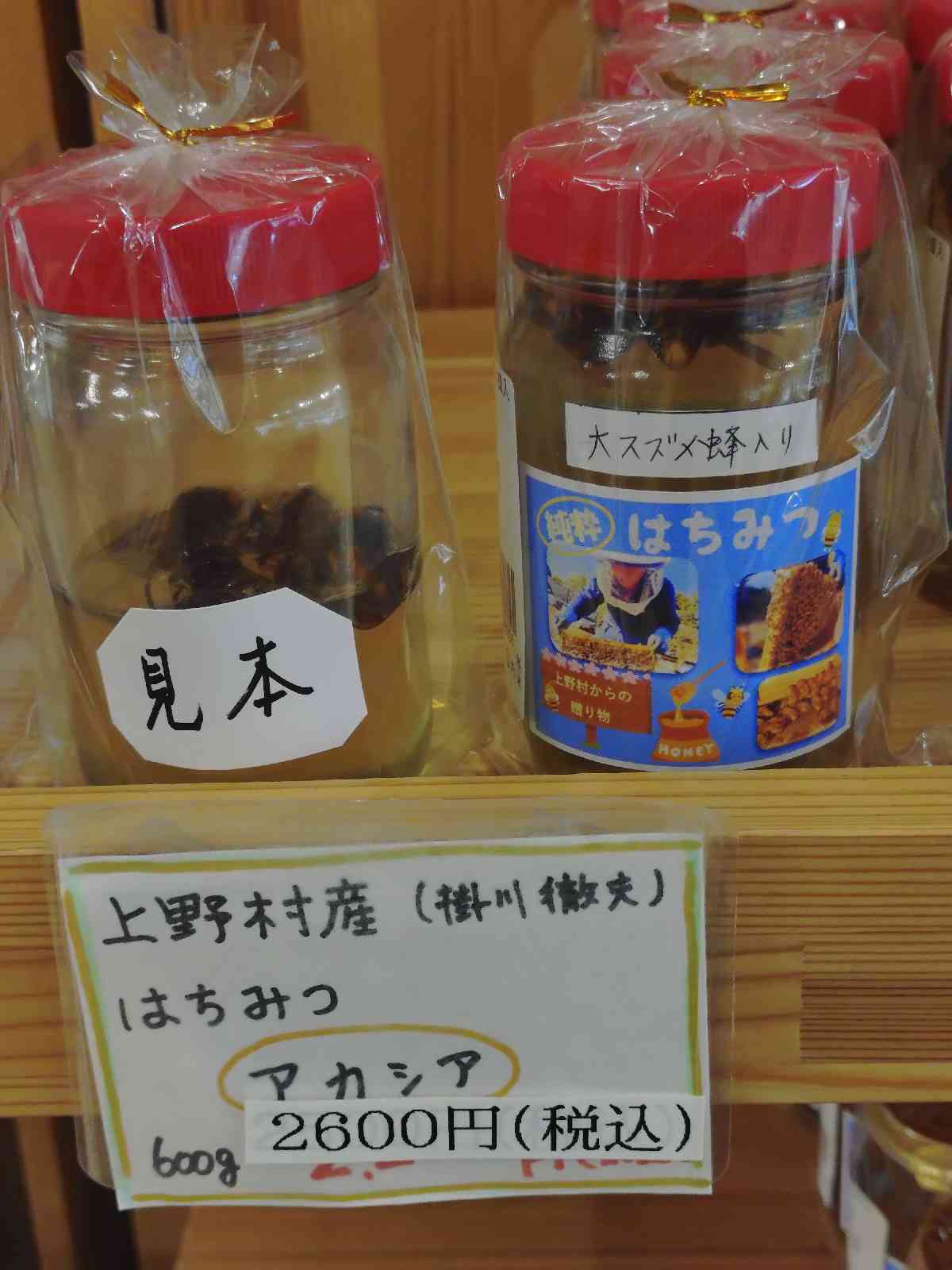 道の駅 上野の写真