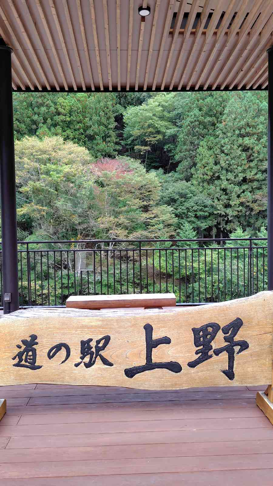 道の駅 上野の写真