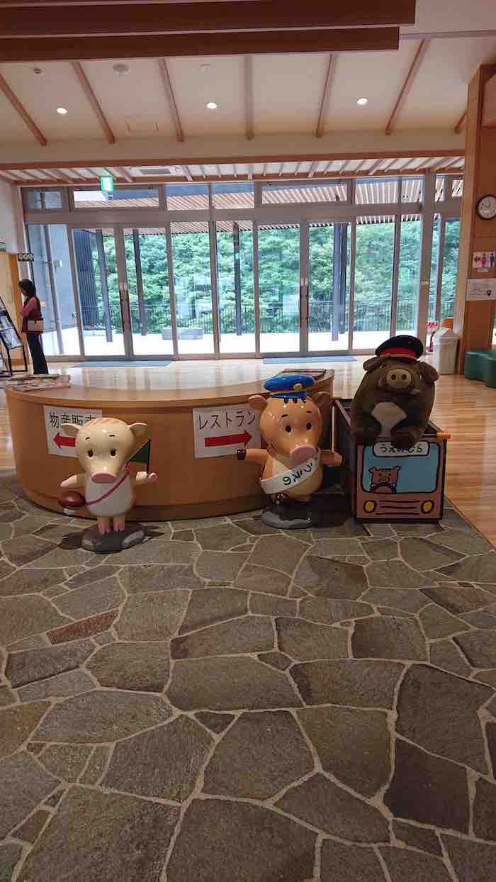 投稿された画像