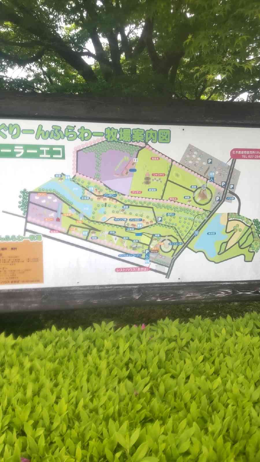 道の駅 ぐりーんふらわー牧場・大胡の写真