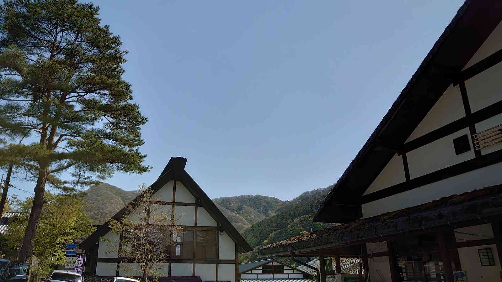 投稿された画像