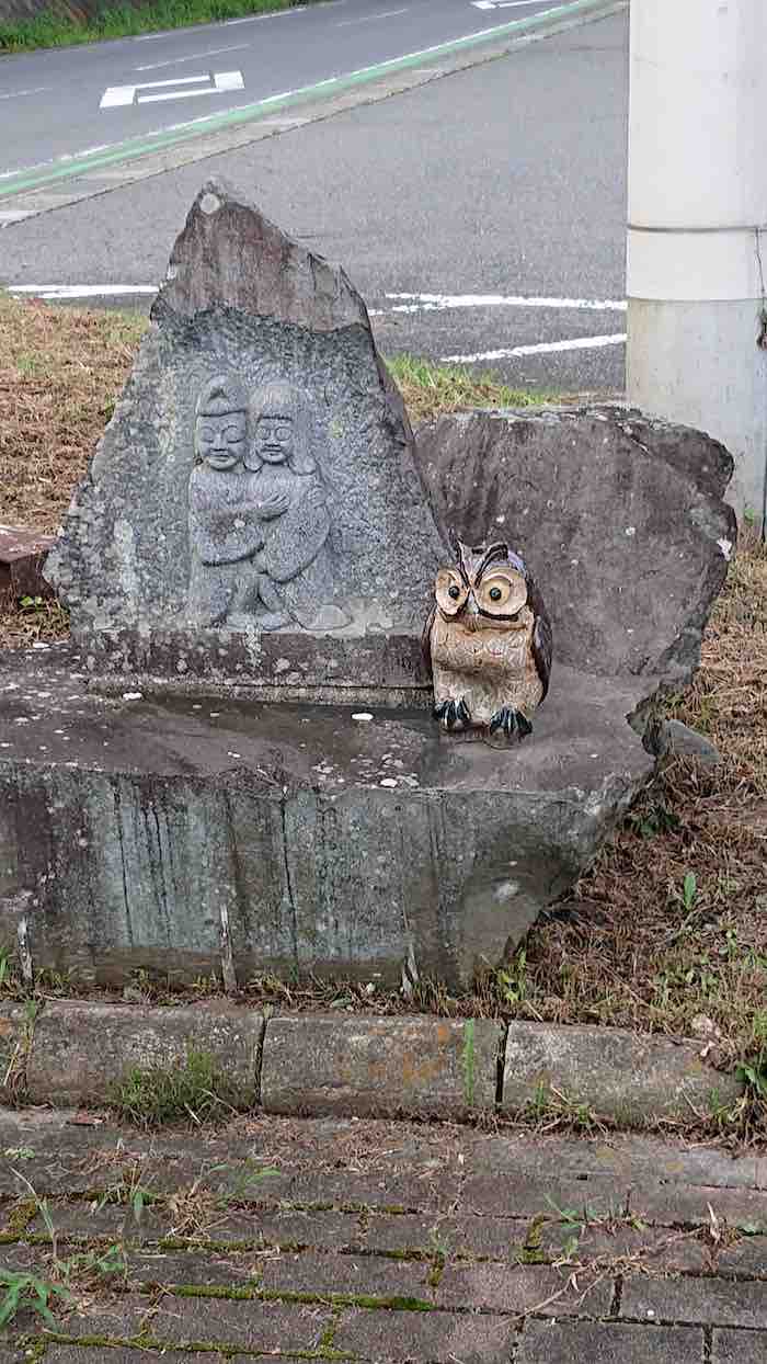 投稿された画像