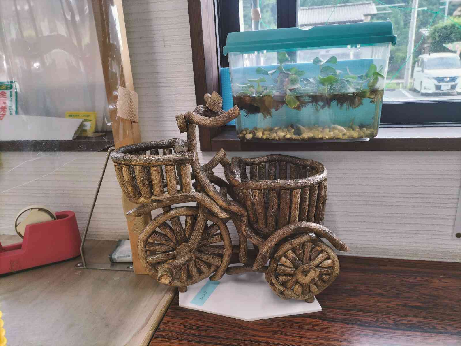 投稿された画像