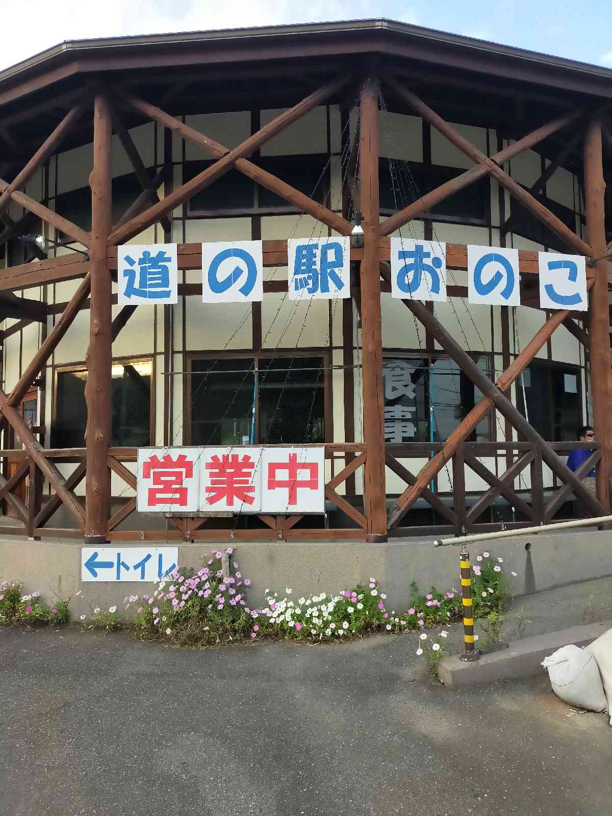 投稿された画像