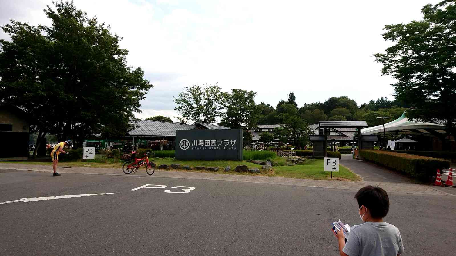 投稿された画像