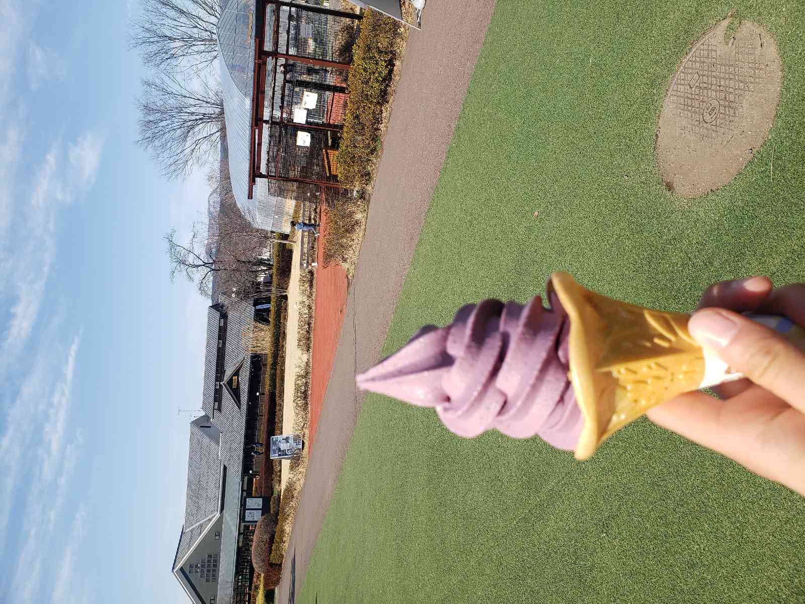 投稿された画像