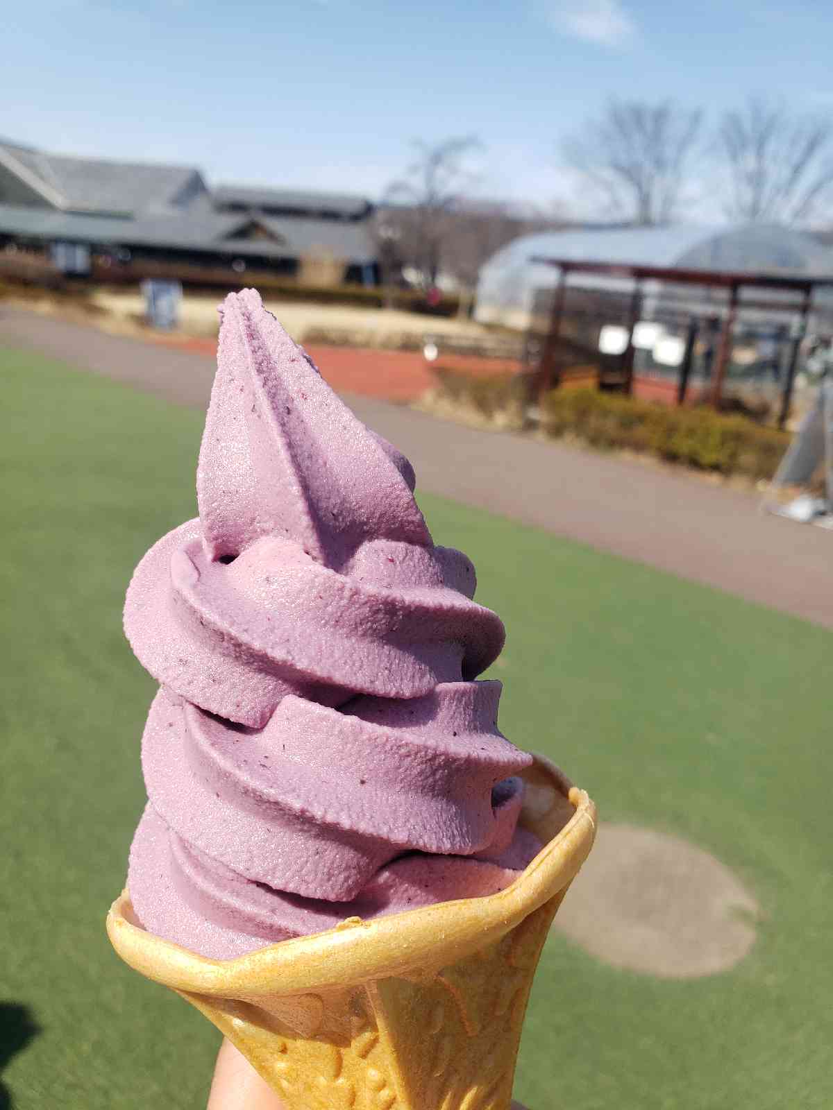 投稿された画像
