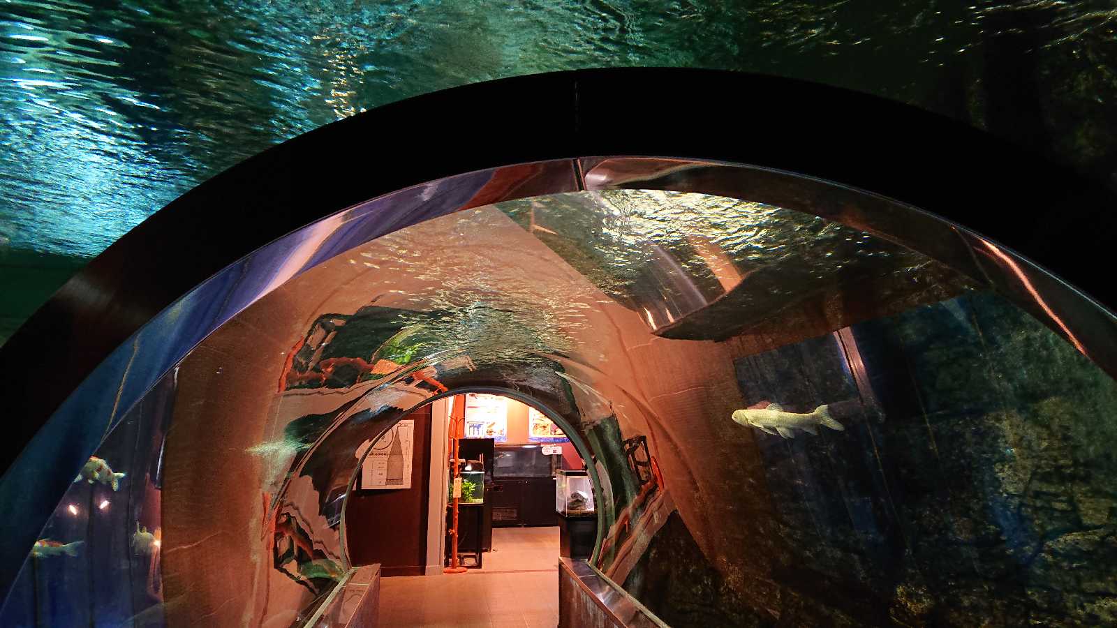 投稿された画像