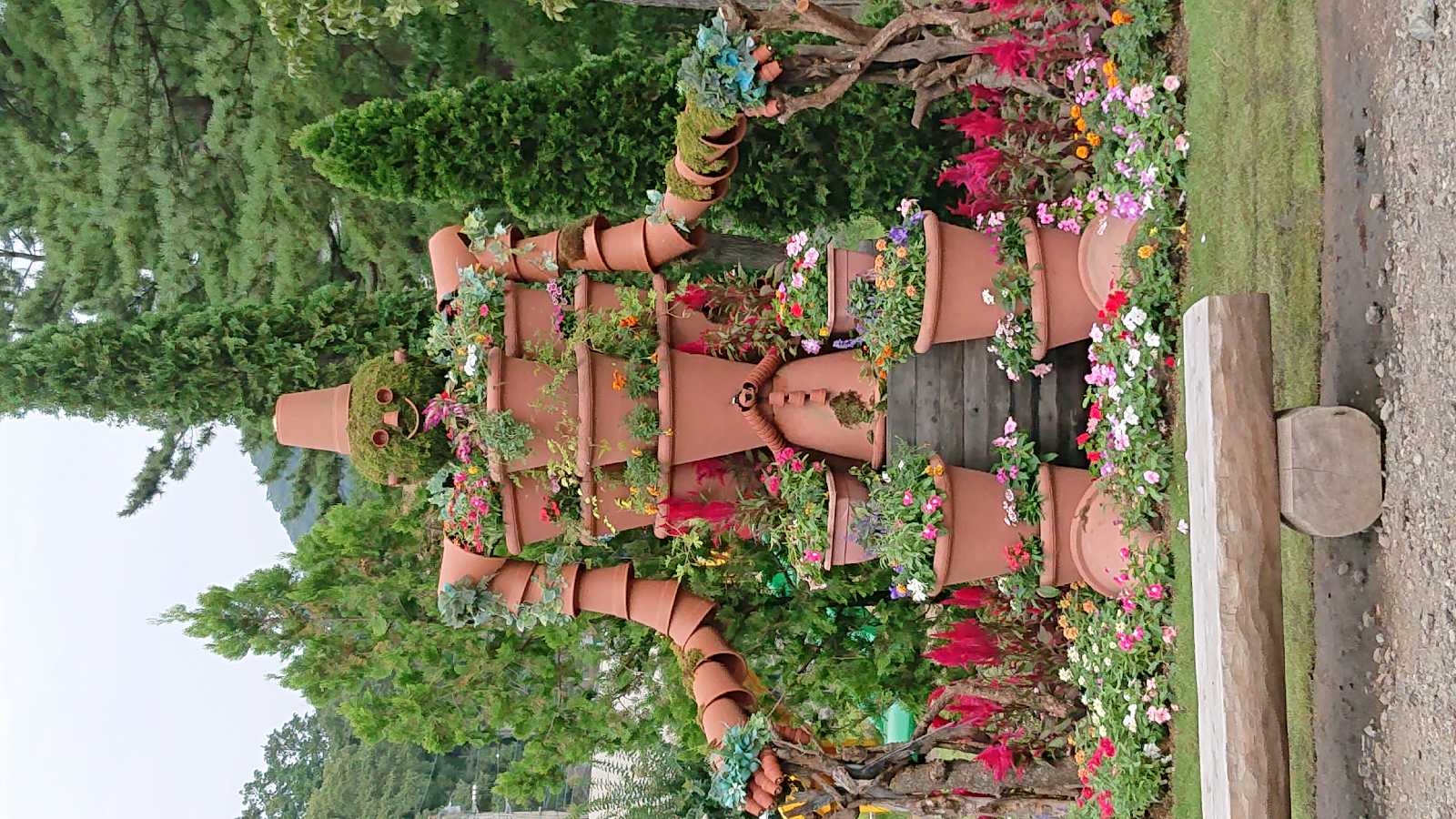 投稿された画像