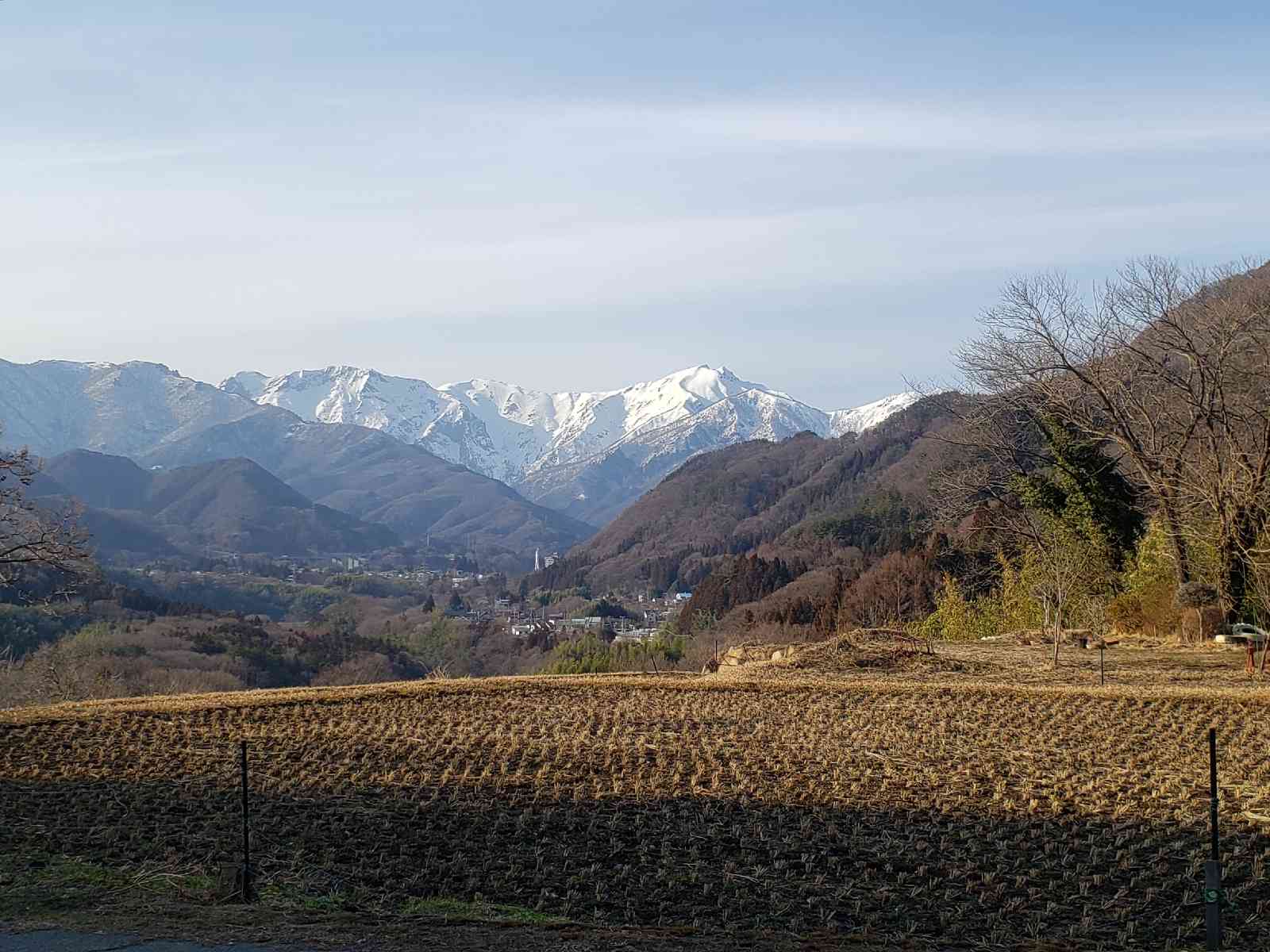 投稿された画像