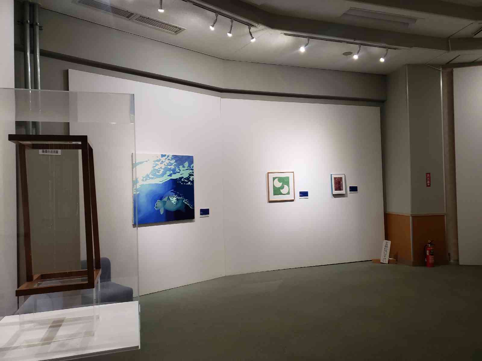 投稿された画像