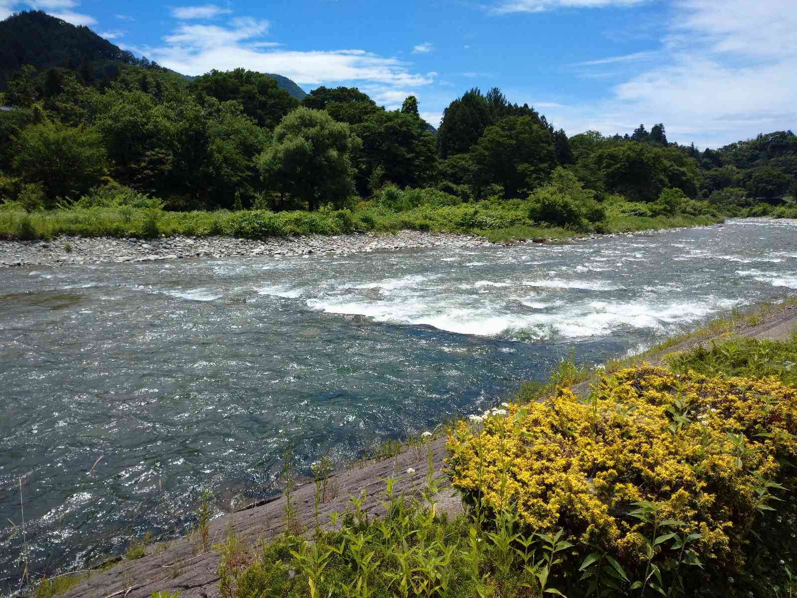 投稿された画像