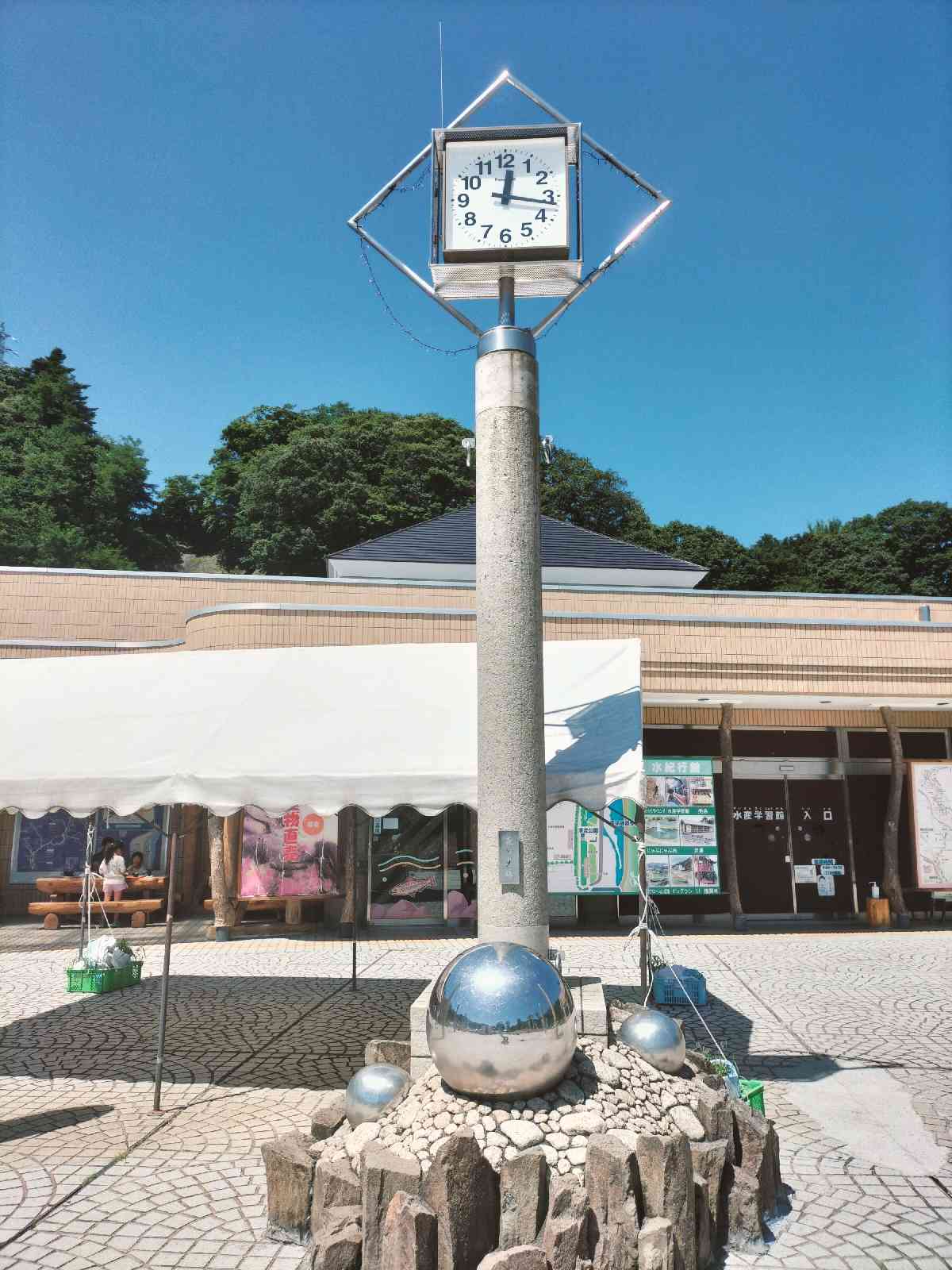 投稿された画像