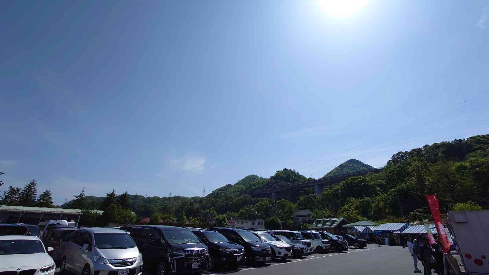 投稿された画像