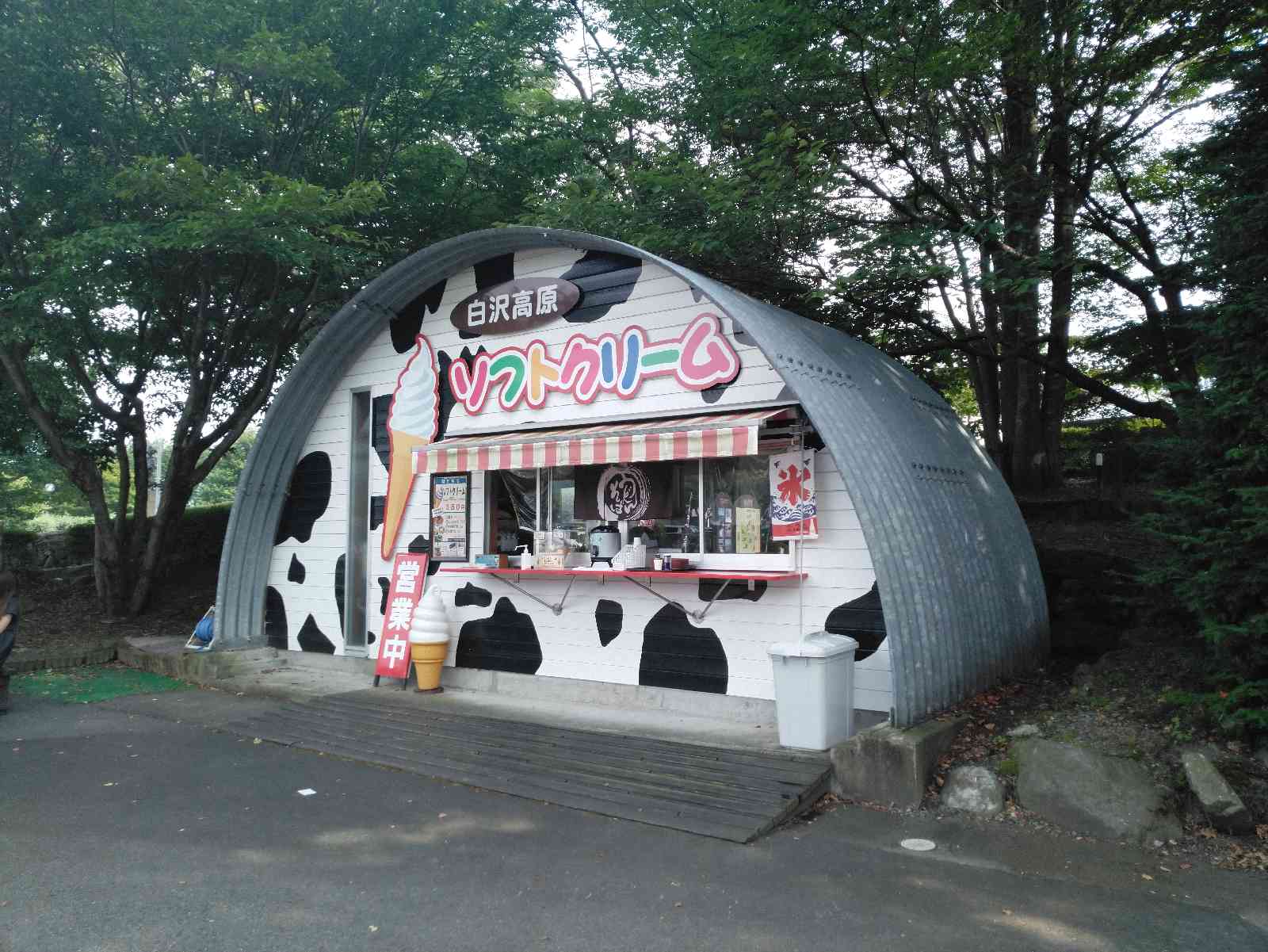 投稿された画像
