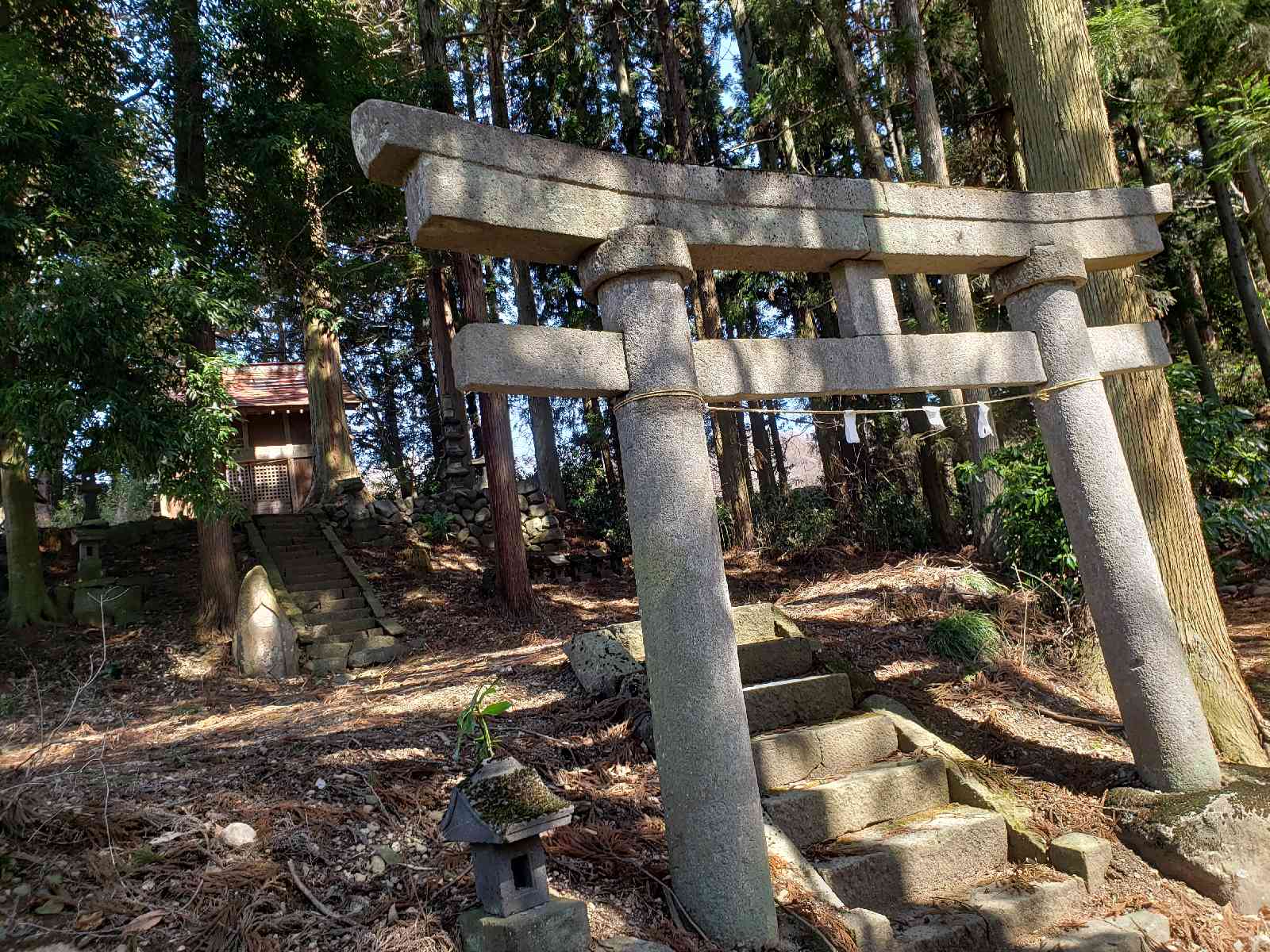 投稿された画像