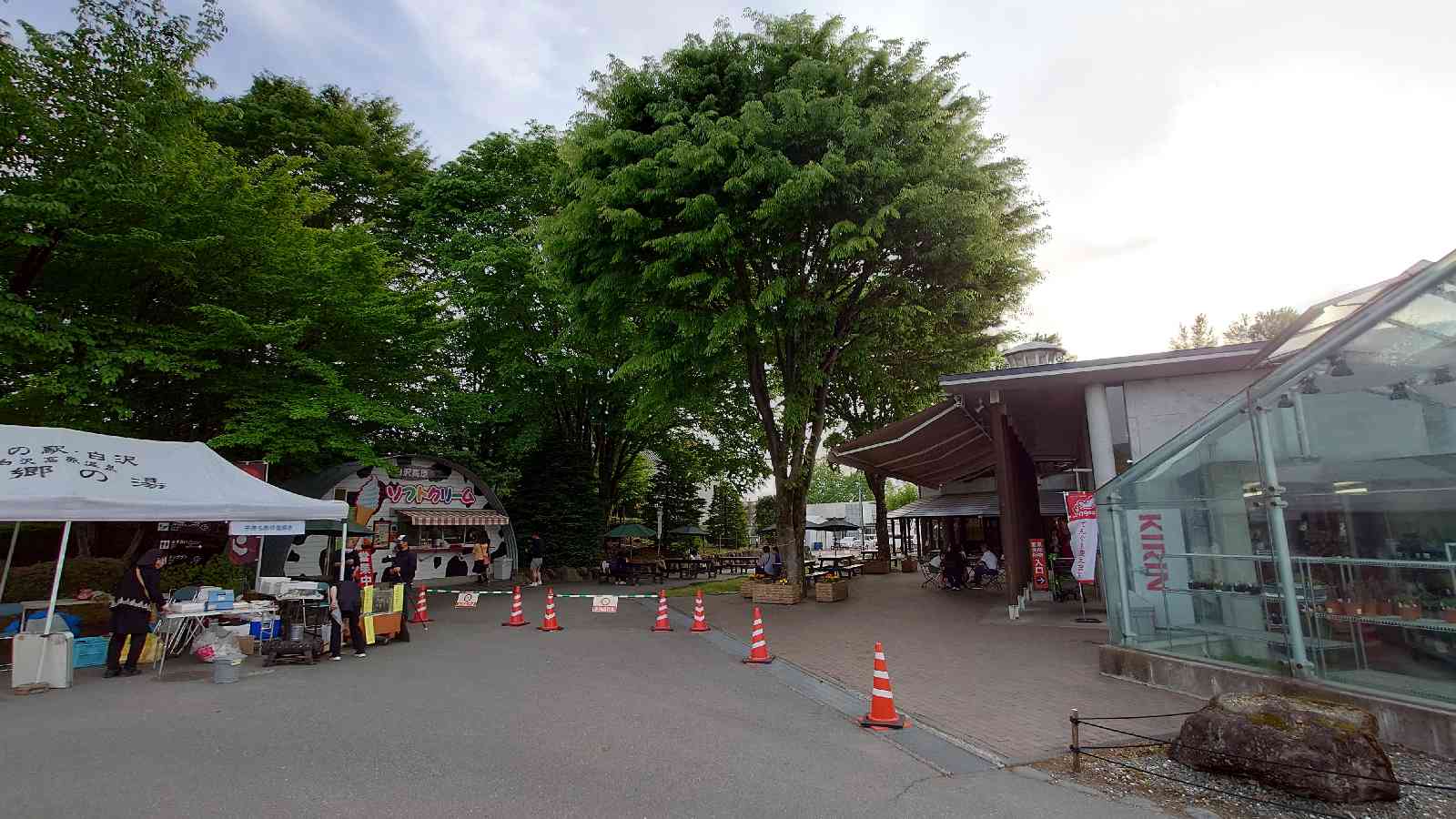 投稿された画像