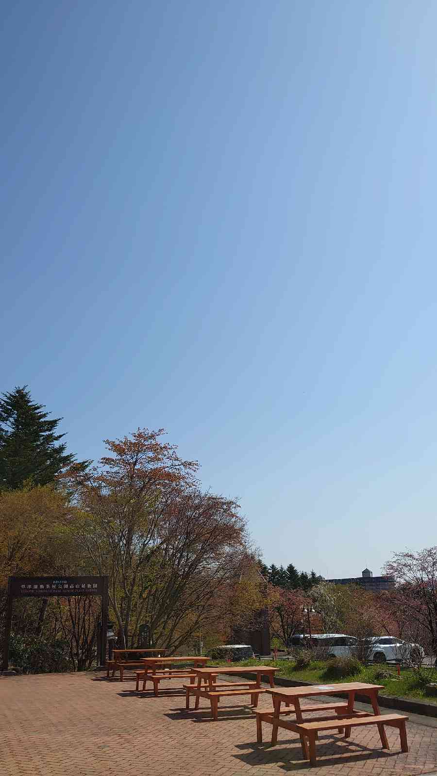投稿された画像