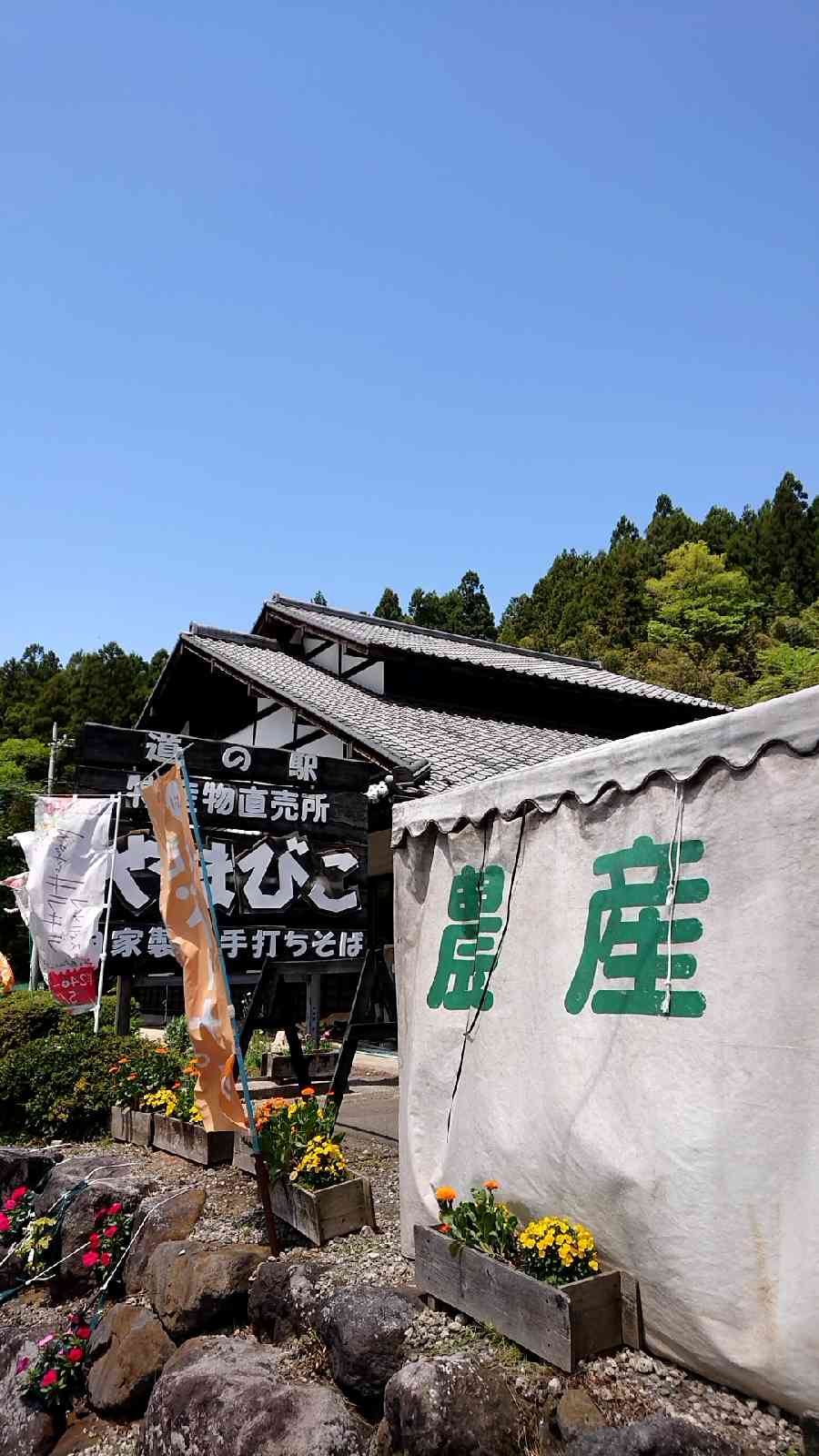 投稿された画像