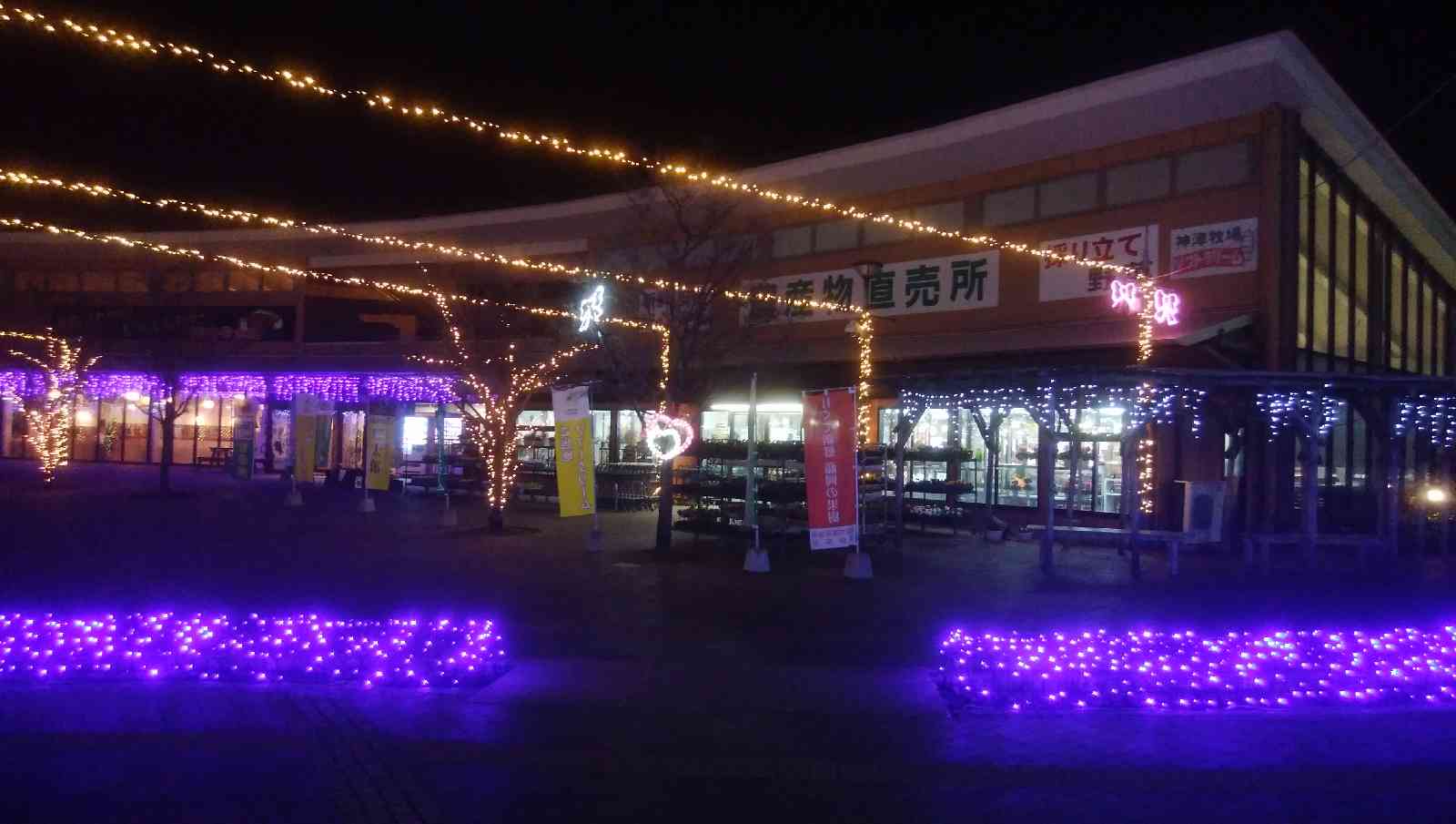 投稿された画像
