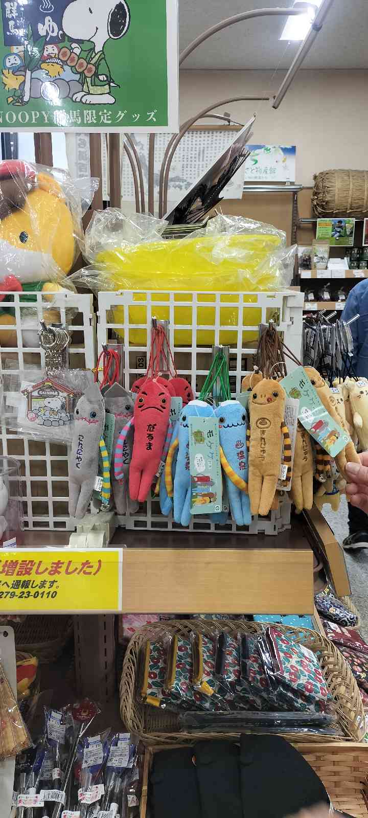 道の駅 こもちの写真