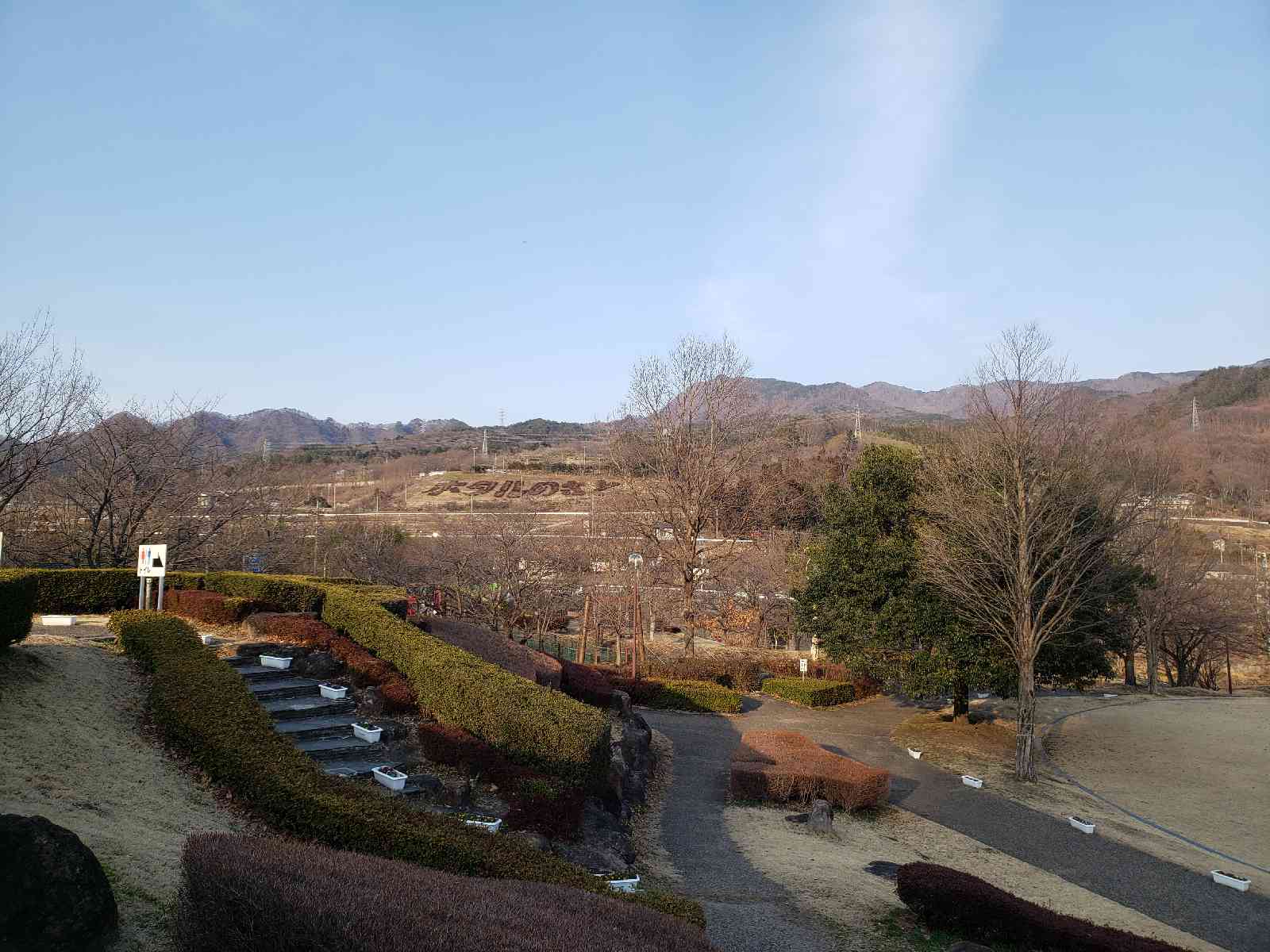 投稿された画像