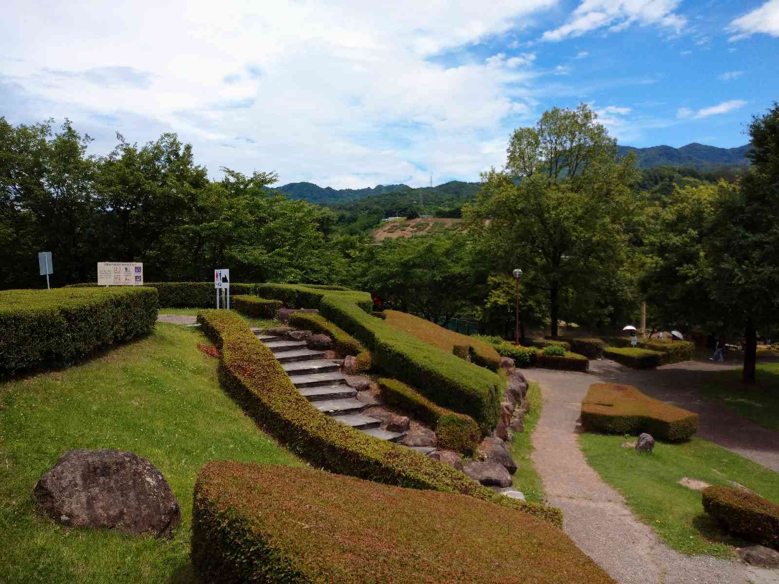投稿された画像