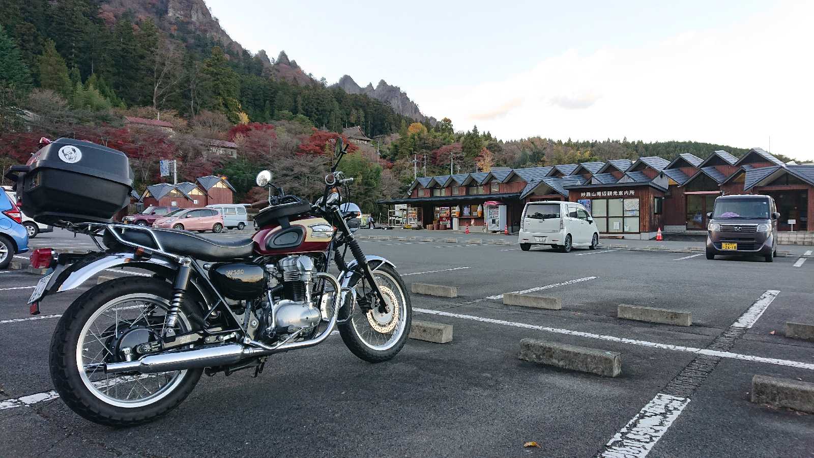 投稿された画像