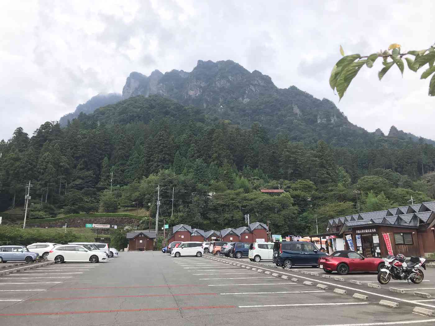 投稿された画像