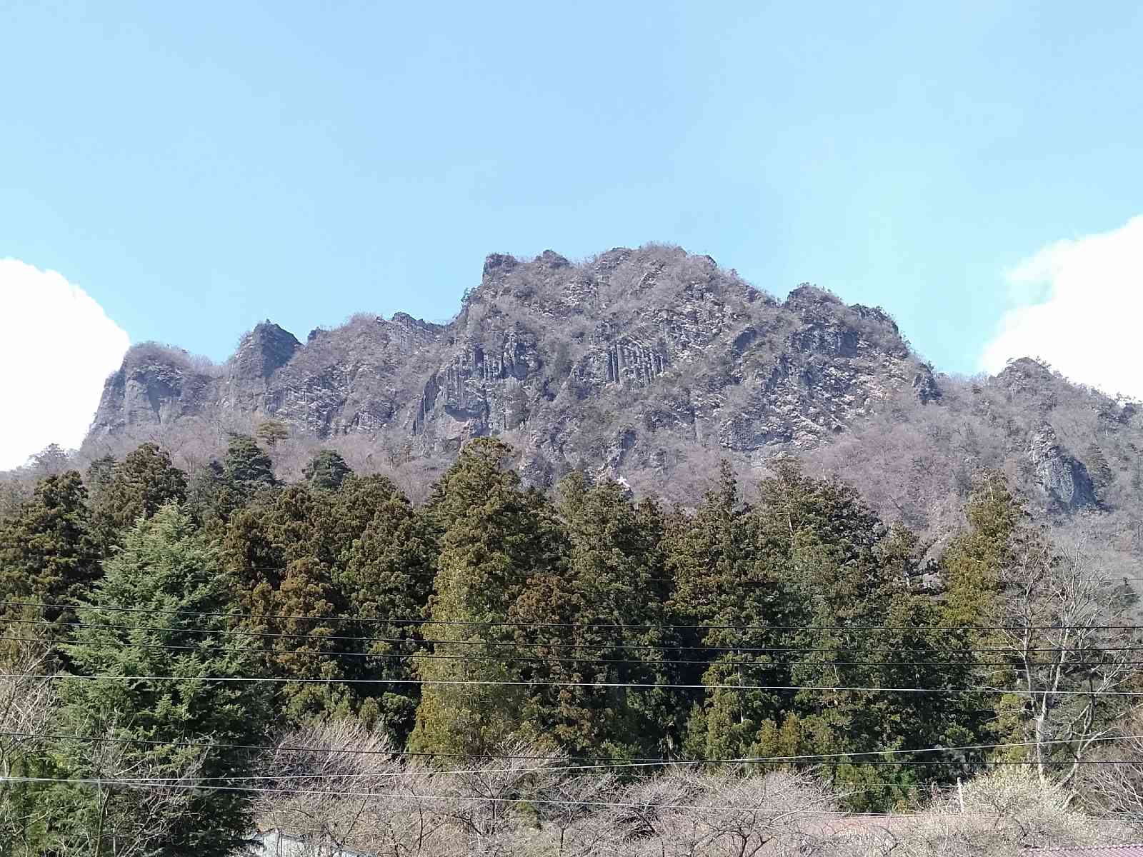 投稿された画像