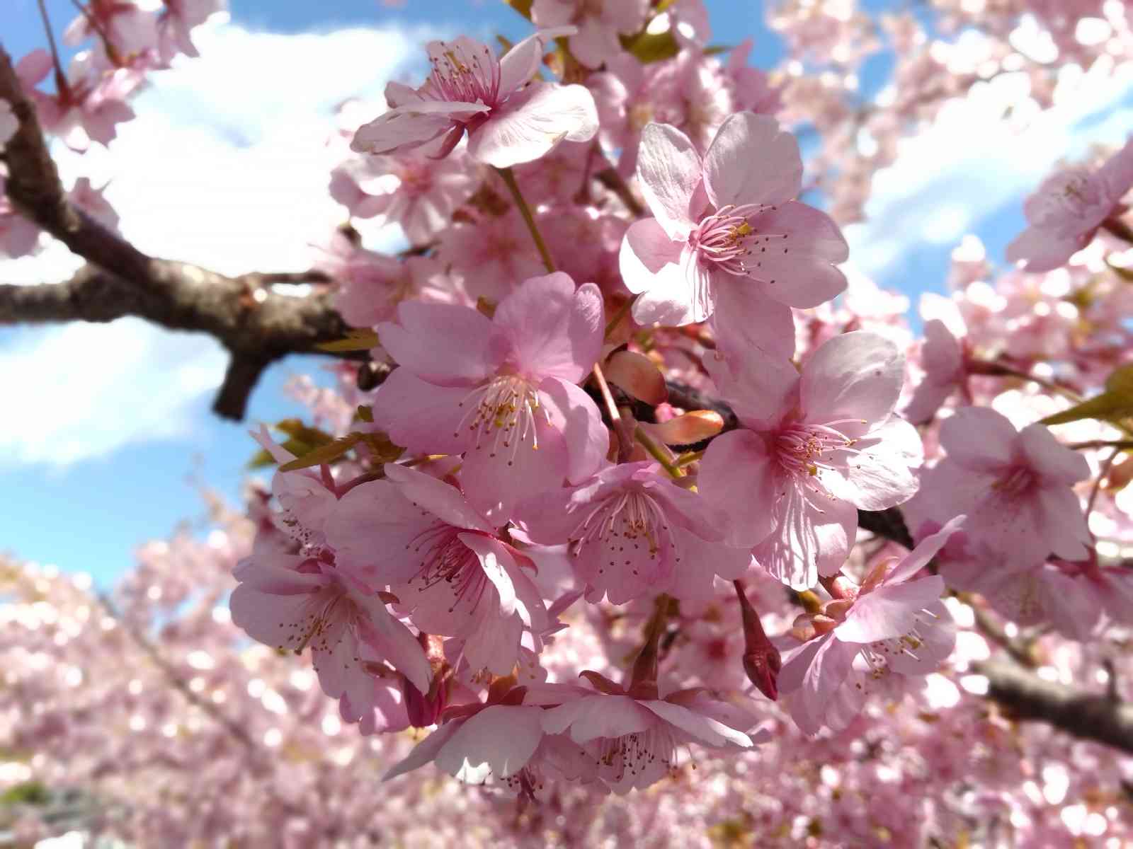 投稿された画像